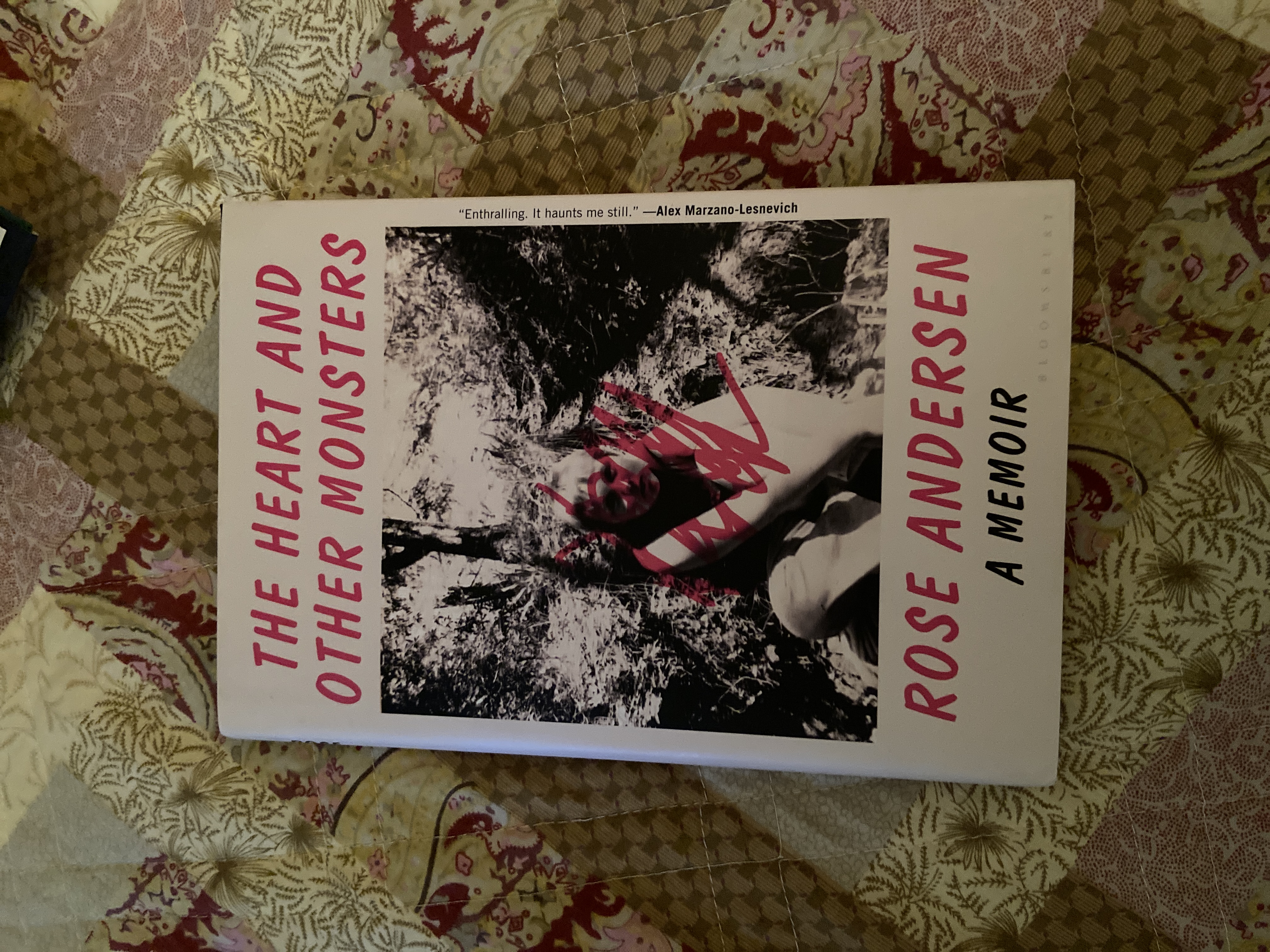 The Heart and Other Monsters