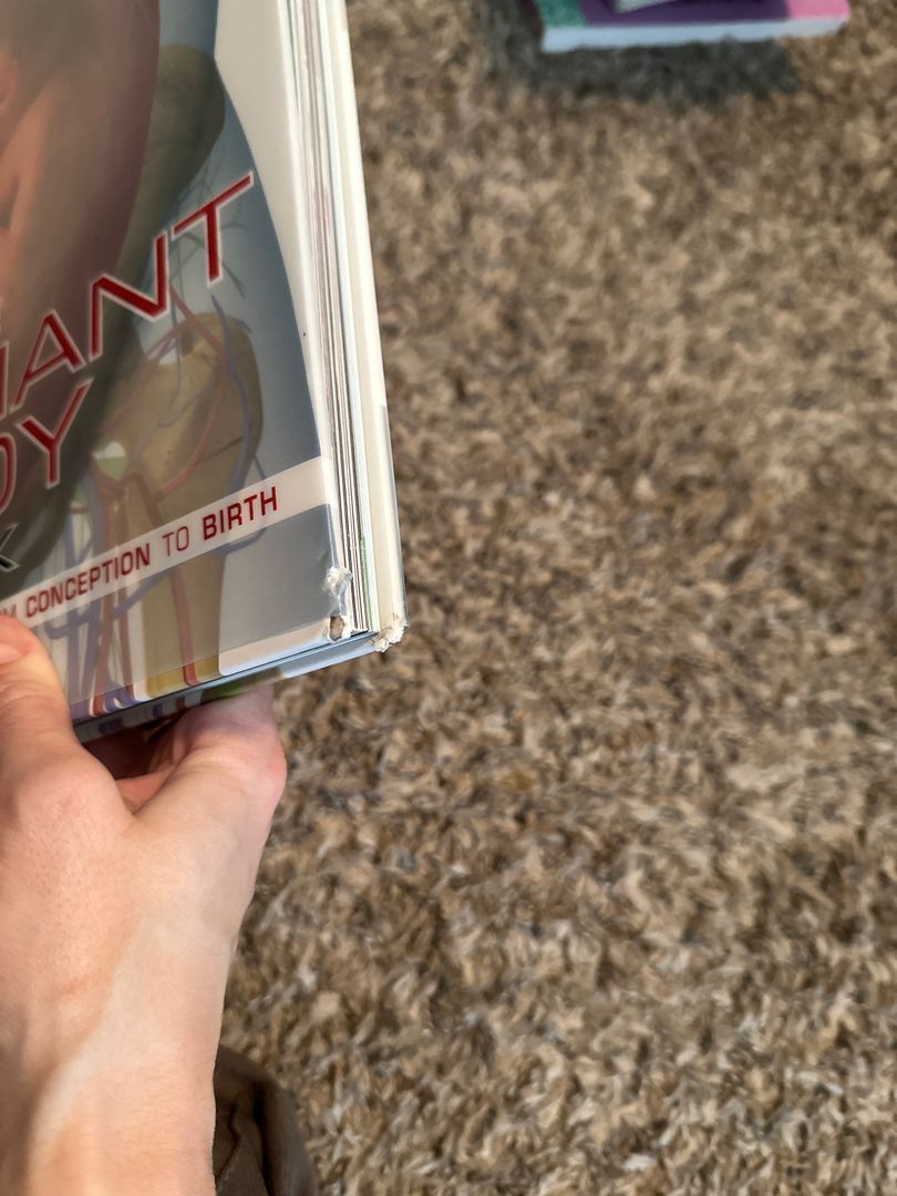 The Pregnant Body Book