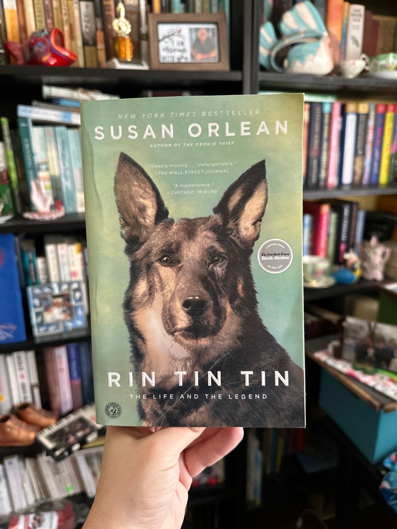 Rin Tin Tin
