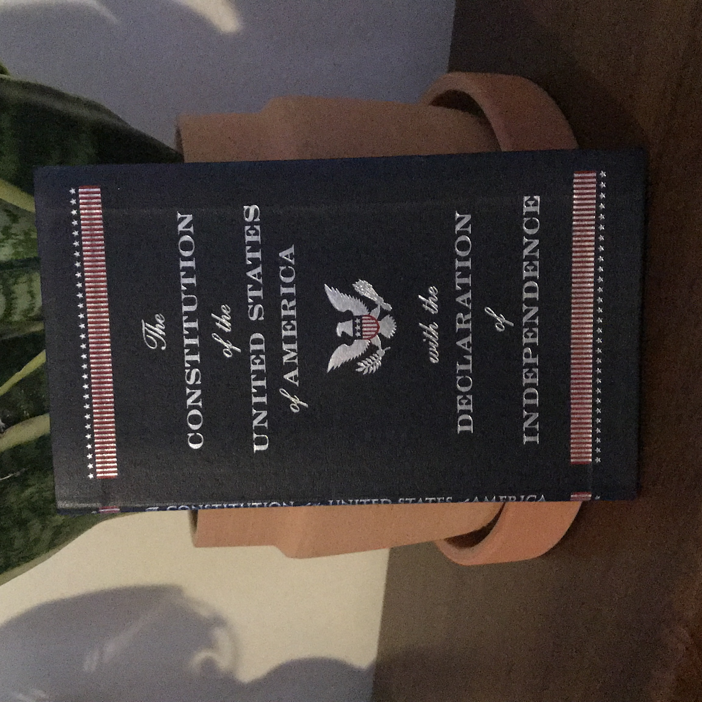 Constitution of the United States