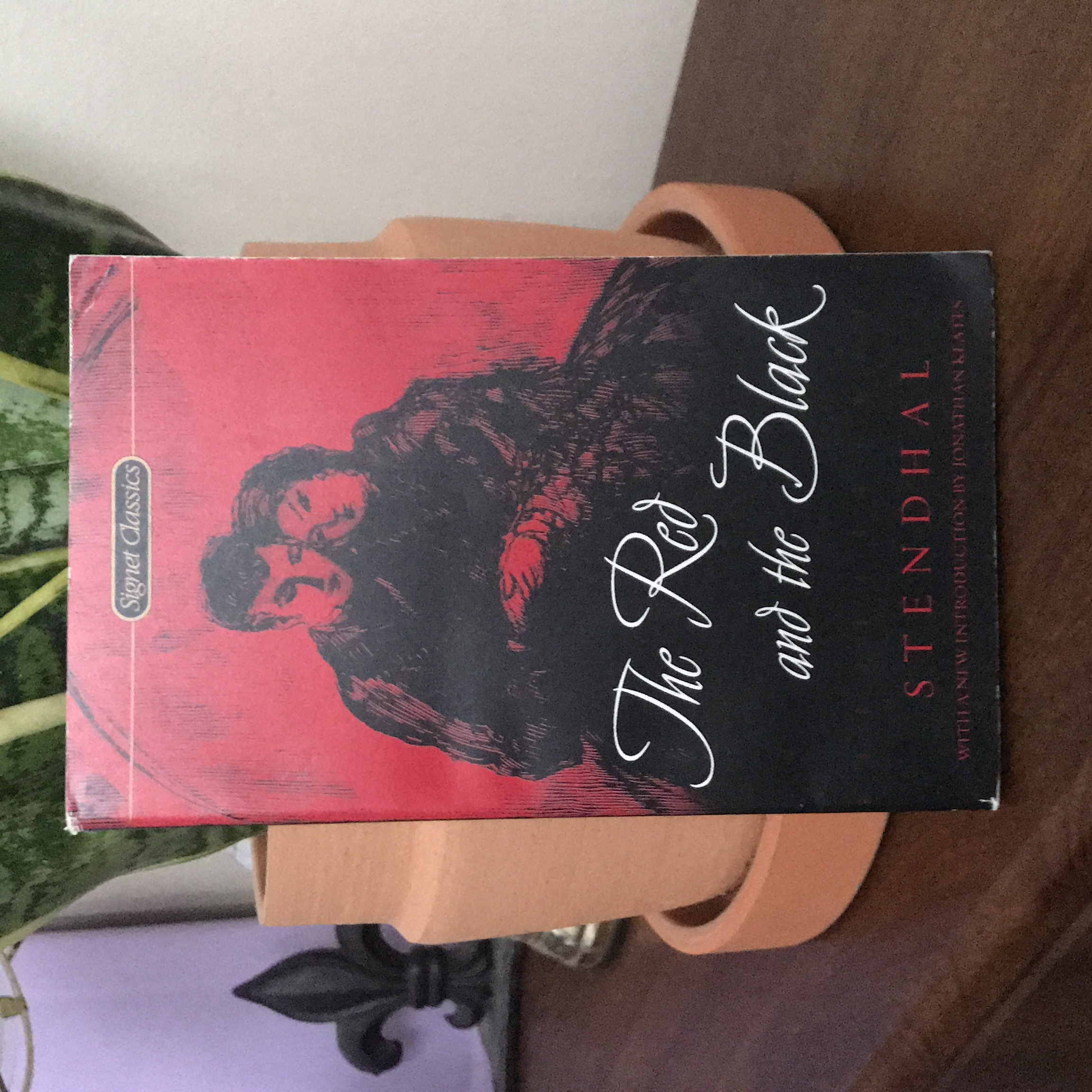Red and the Black