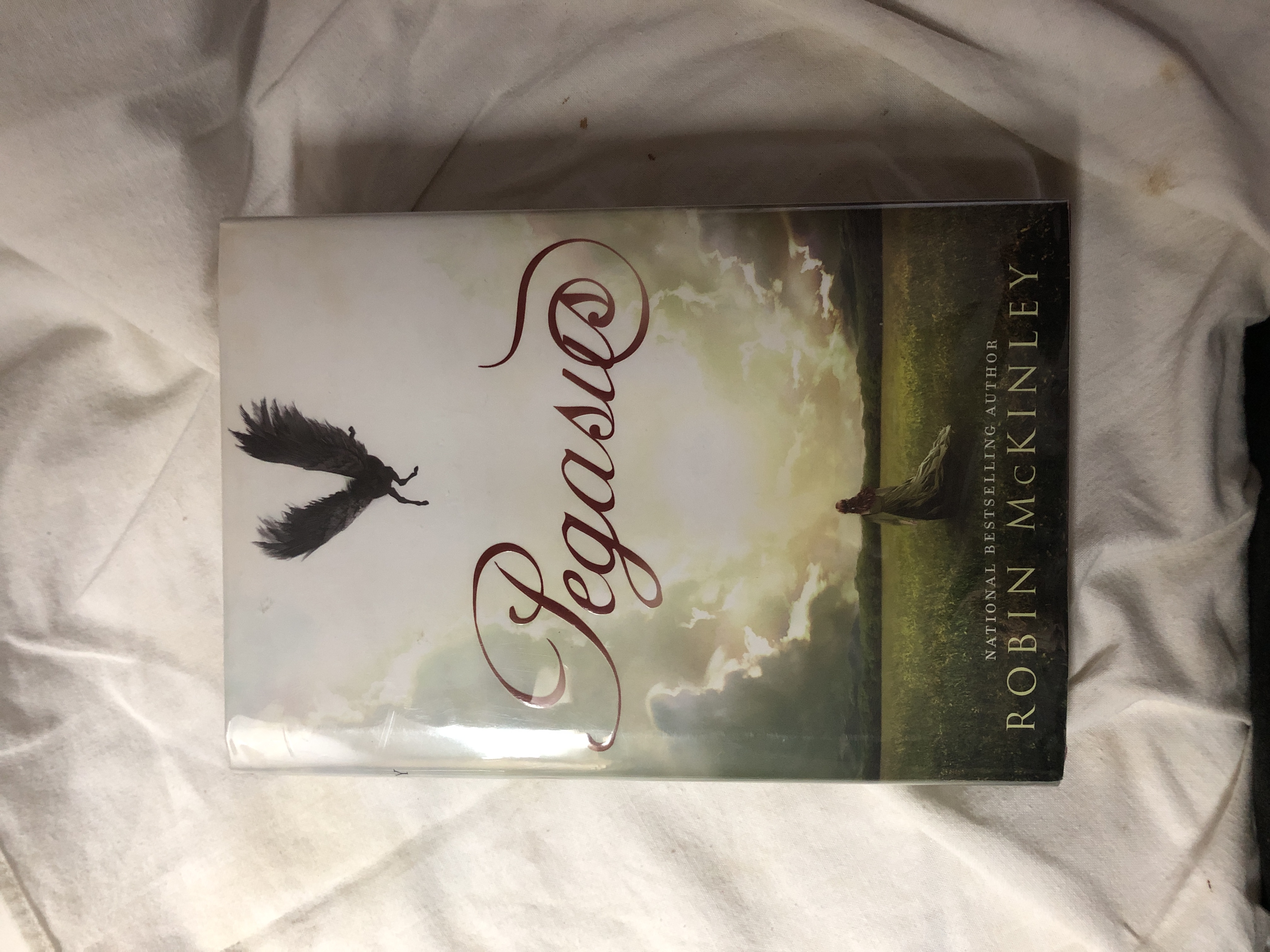 Pegasus by Robin McKinley