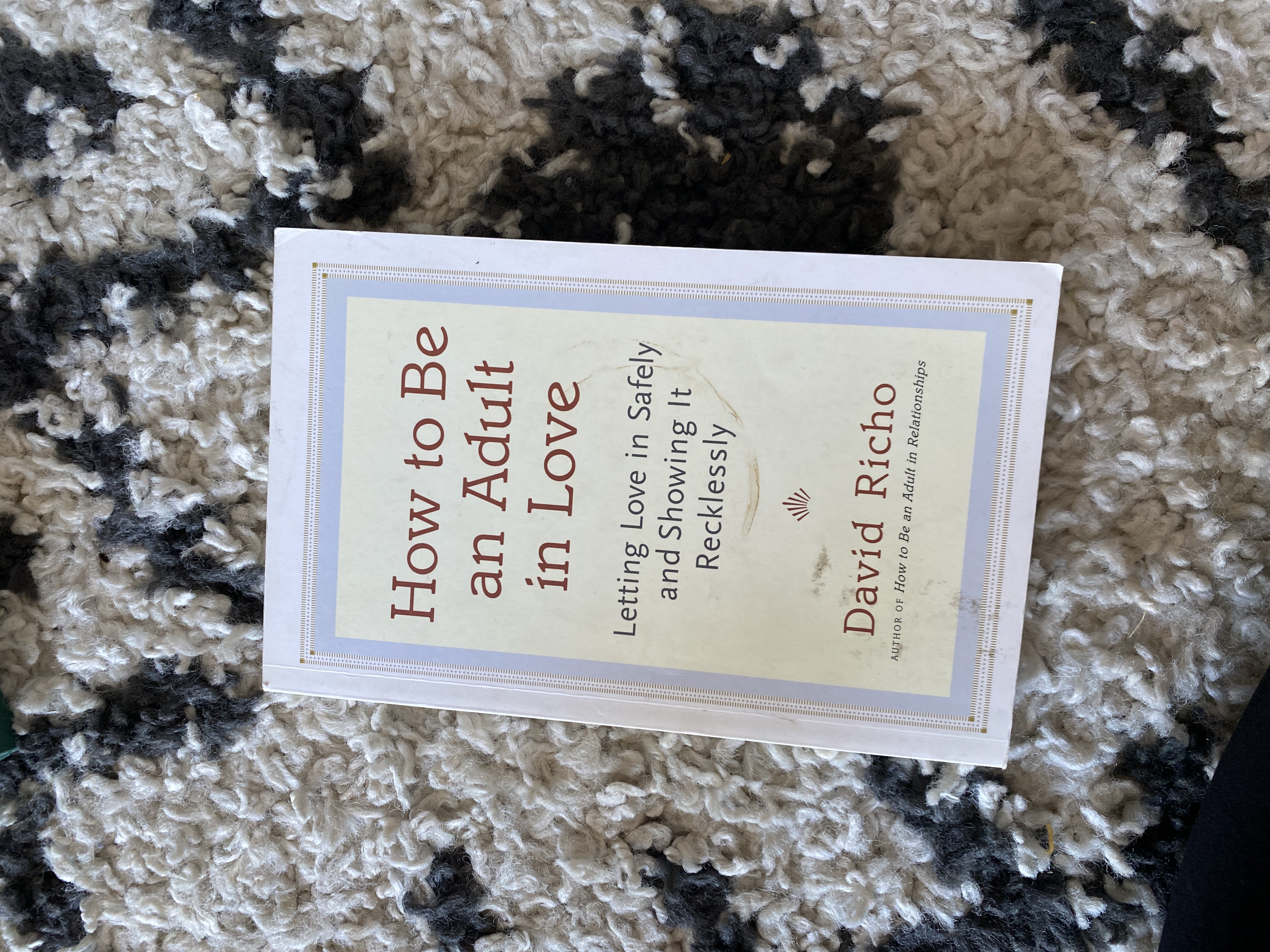 How to Be an Adult in Love