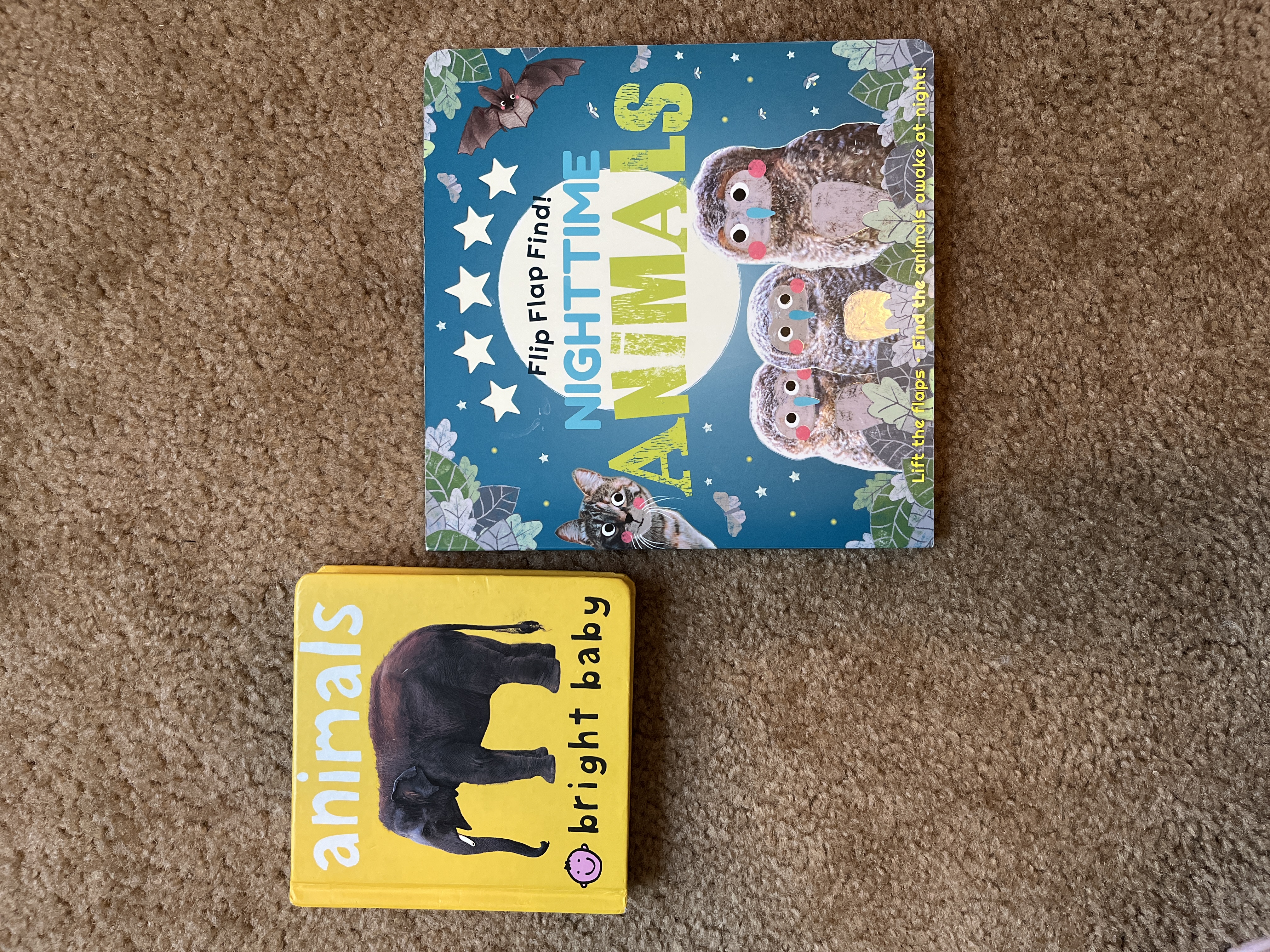 Flip Flap Find! Night-Time Animals