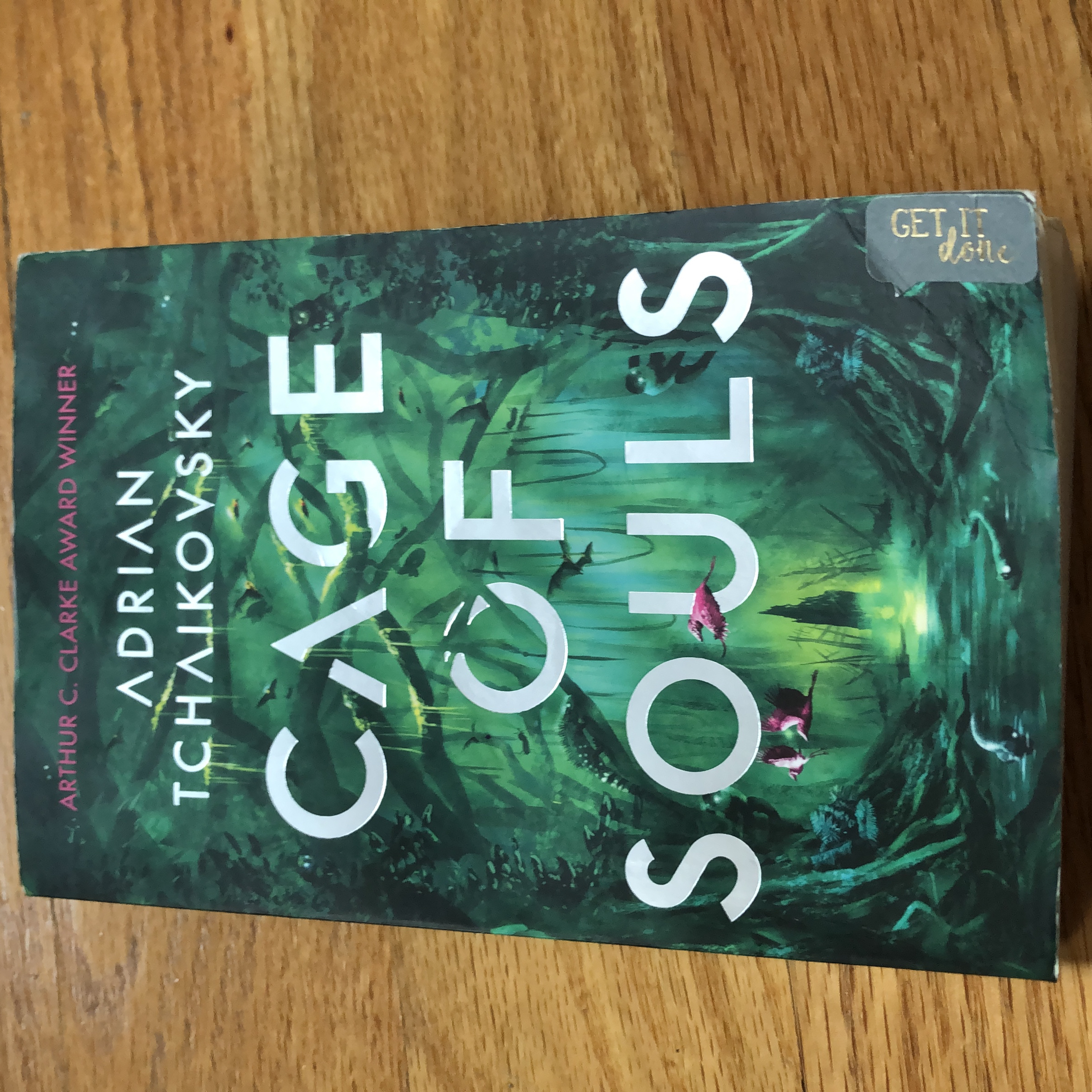 Cage of Souls