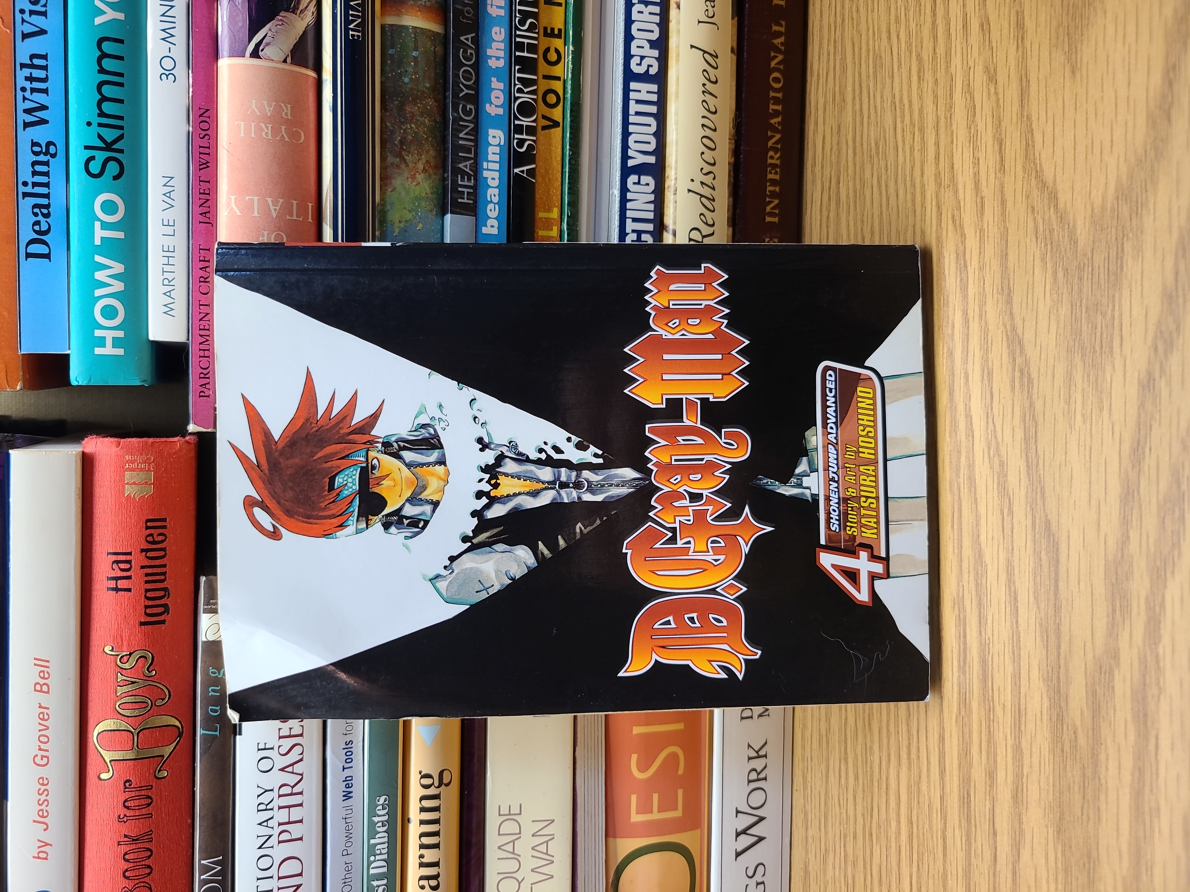 D. Gray-Man, Vol. 4