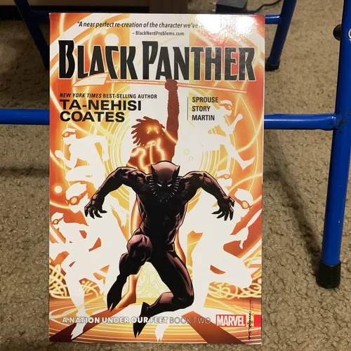 Black Panther: a Nation under Our Feet Book 2