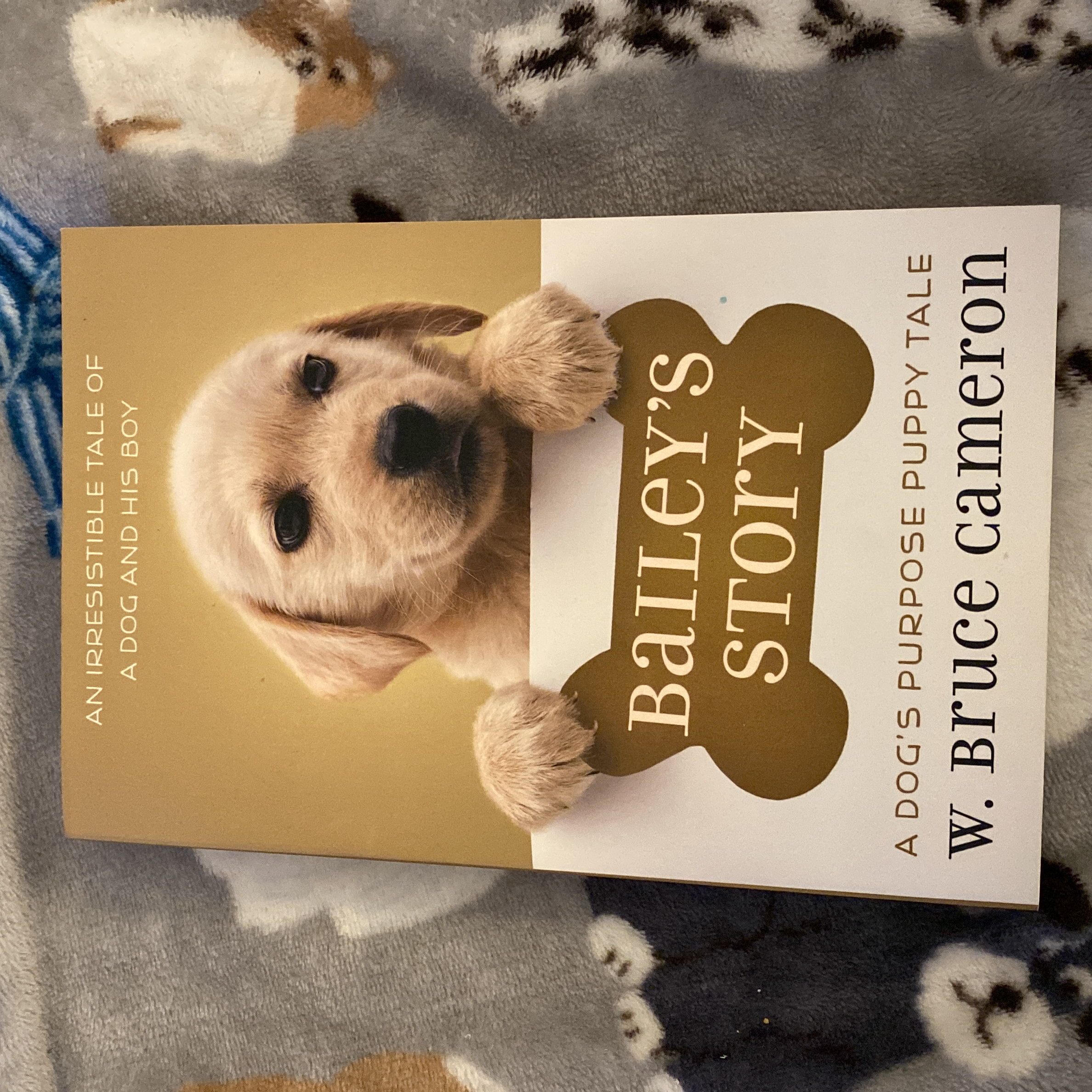 Bailey's Story