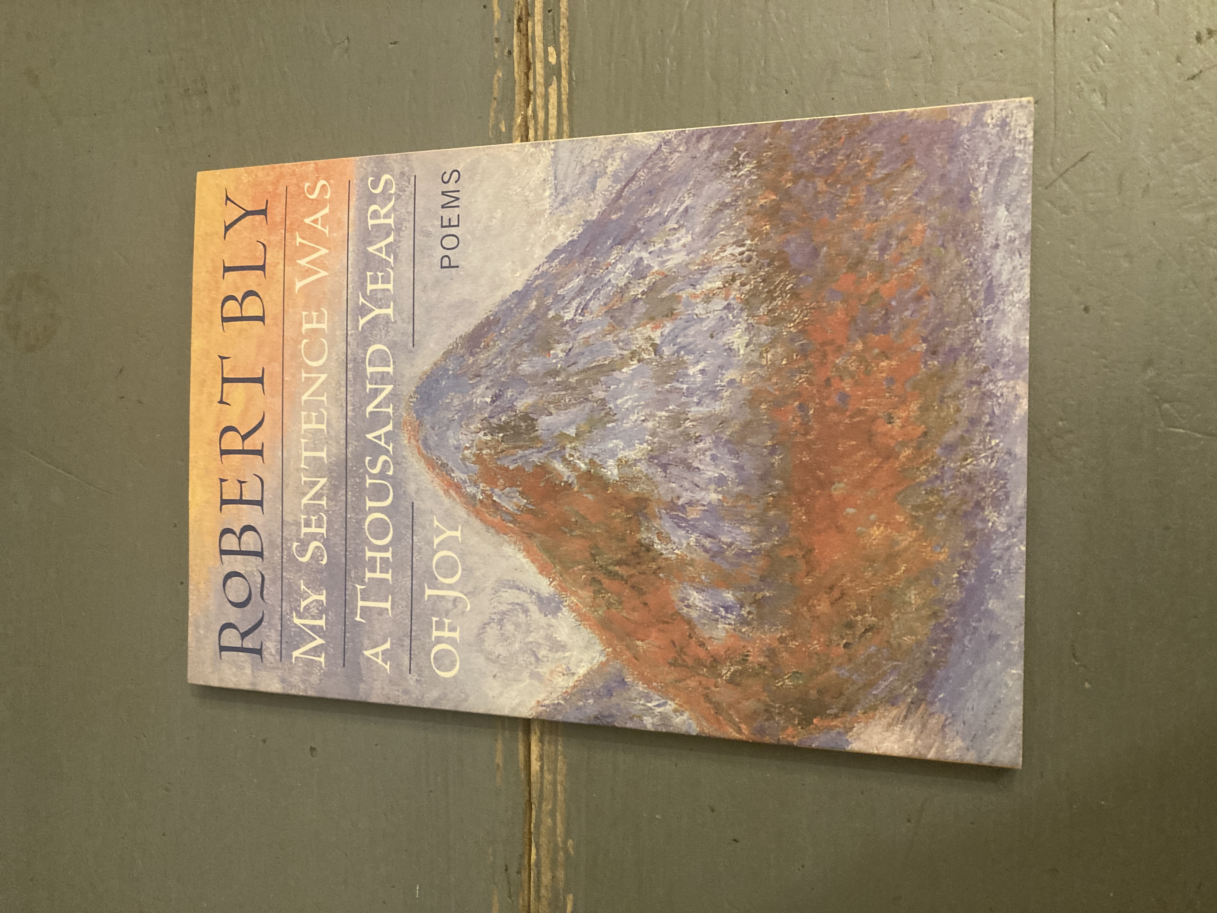 My Sentence Was a Thousand Years of Joy