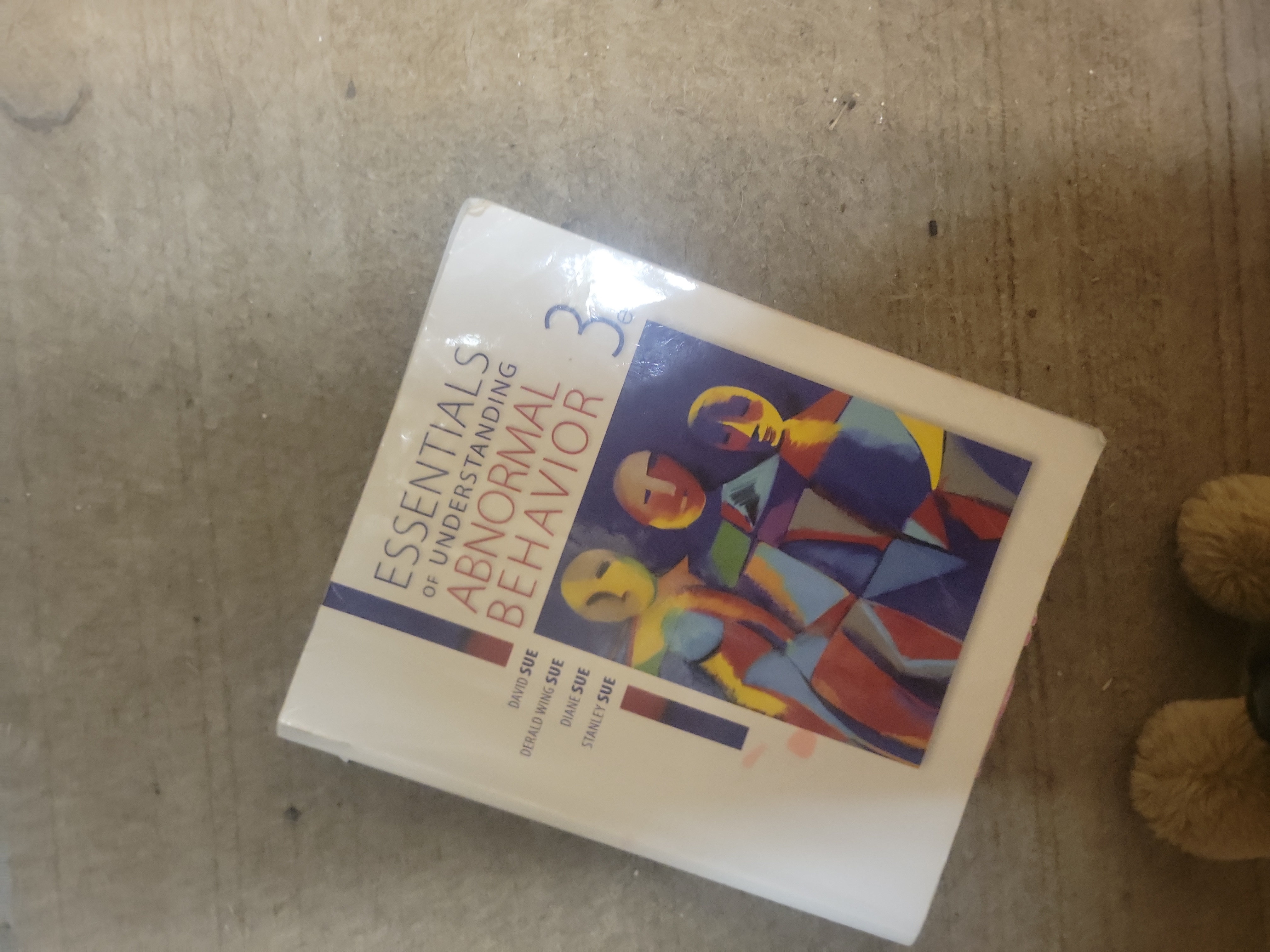 Essentials of Understanding Abnormal Behavior