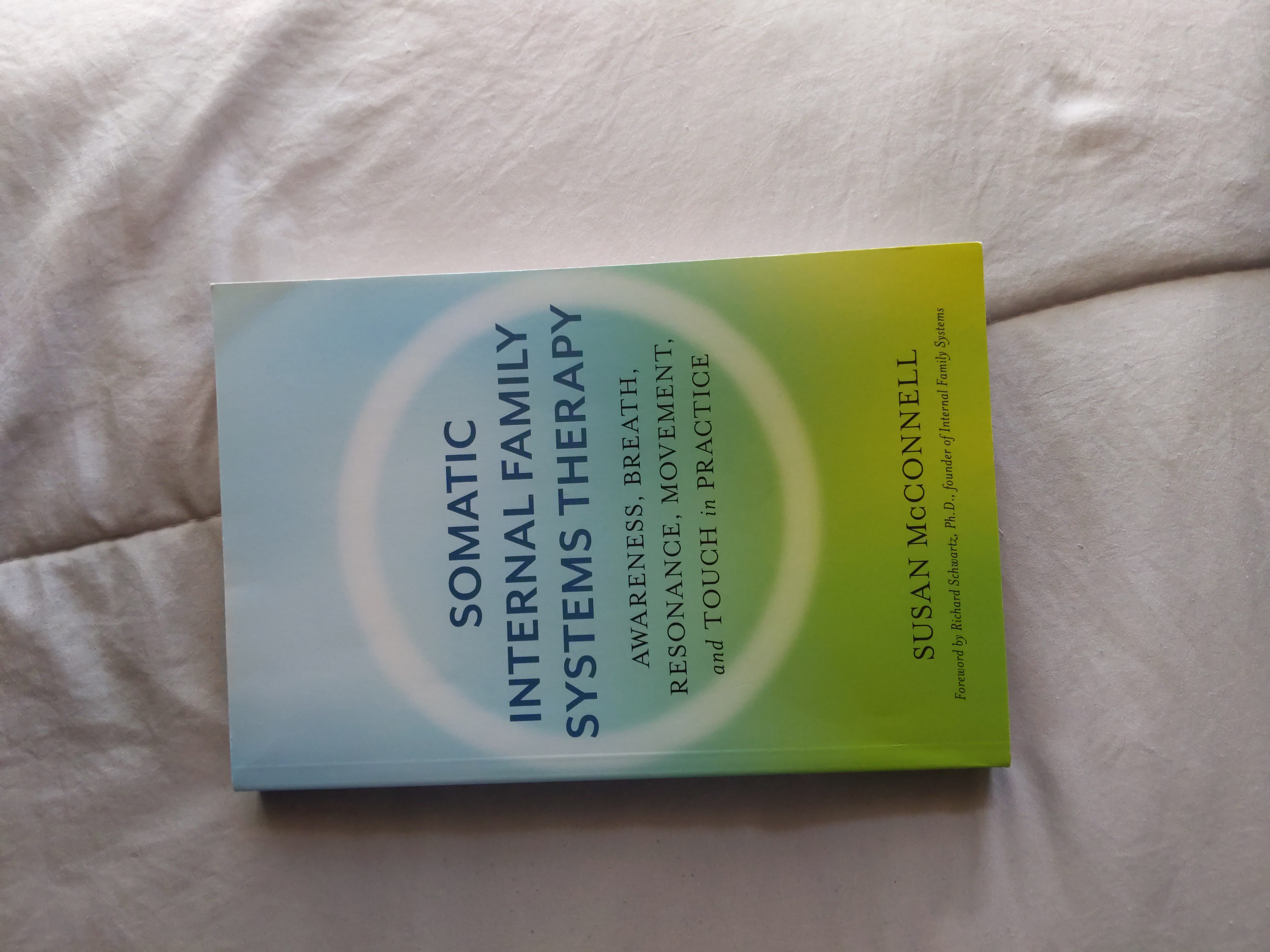 Somatic Internal Family Systems Therapy