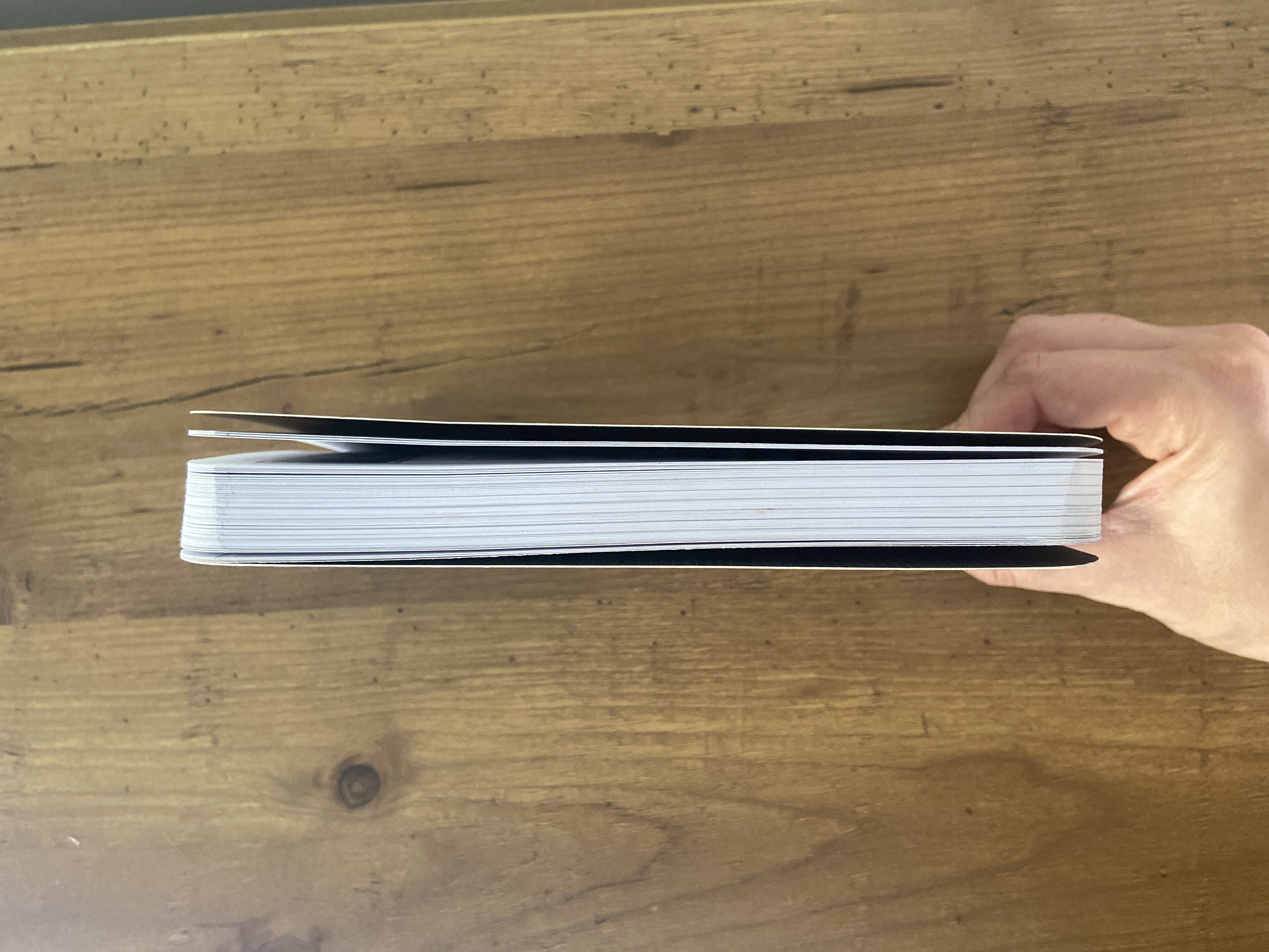 The Newlywed's Instruction Manual