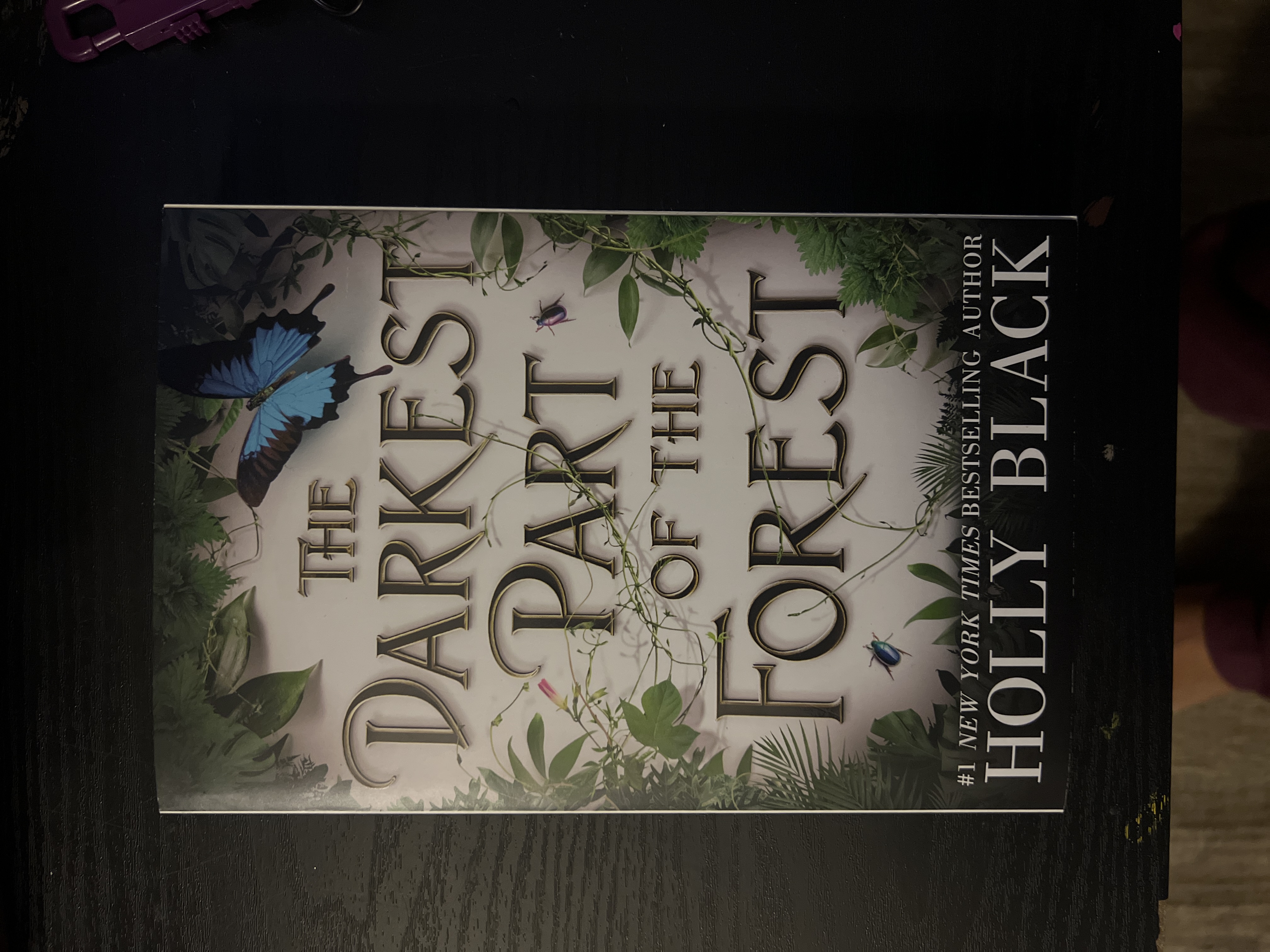 The Darkest Part of the Forest
