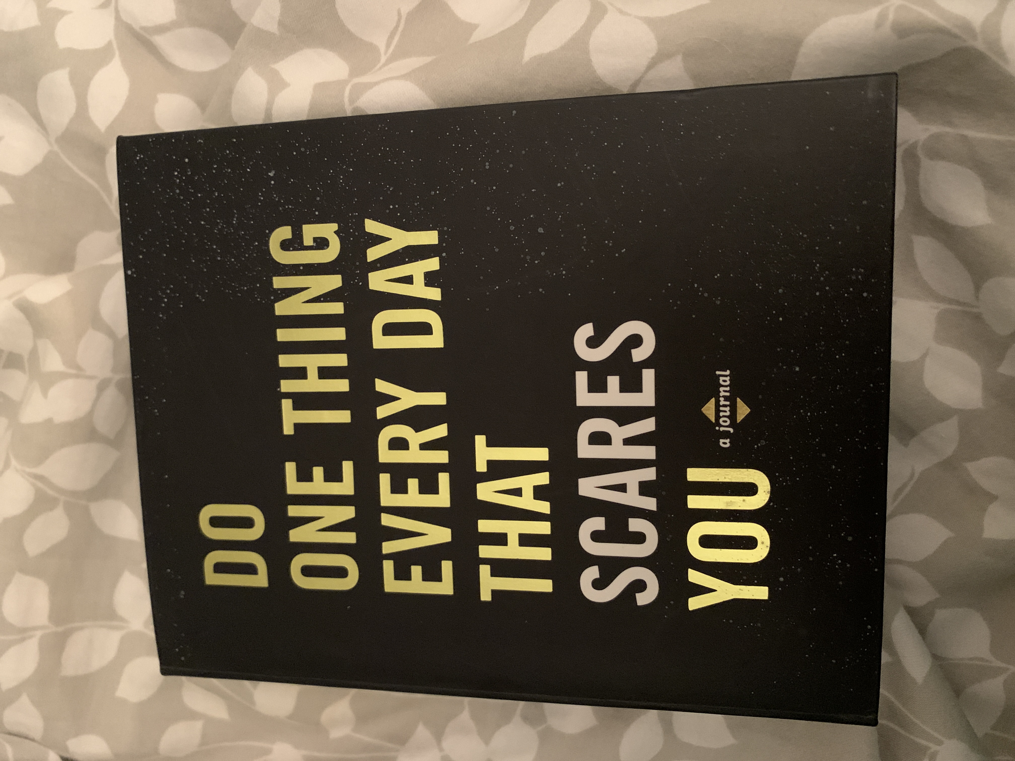 Do One Thing Every Day That Scares You