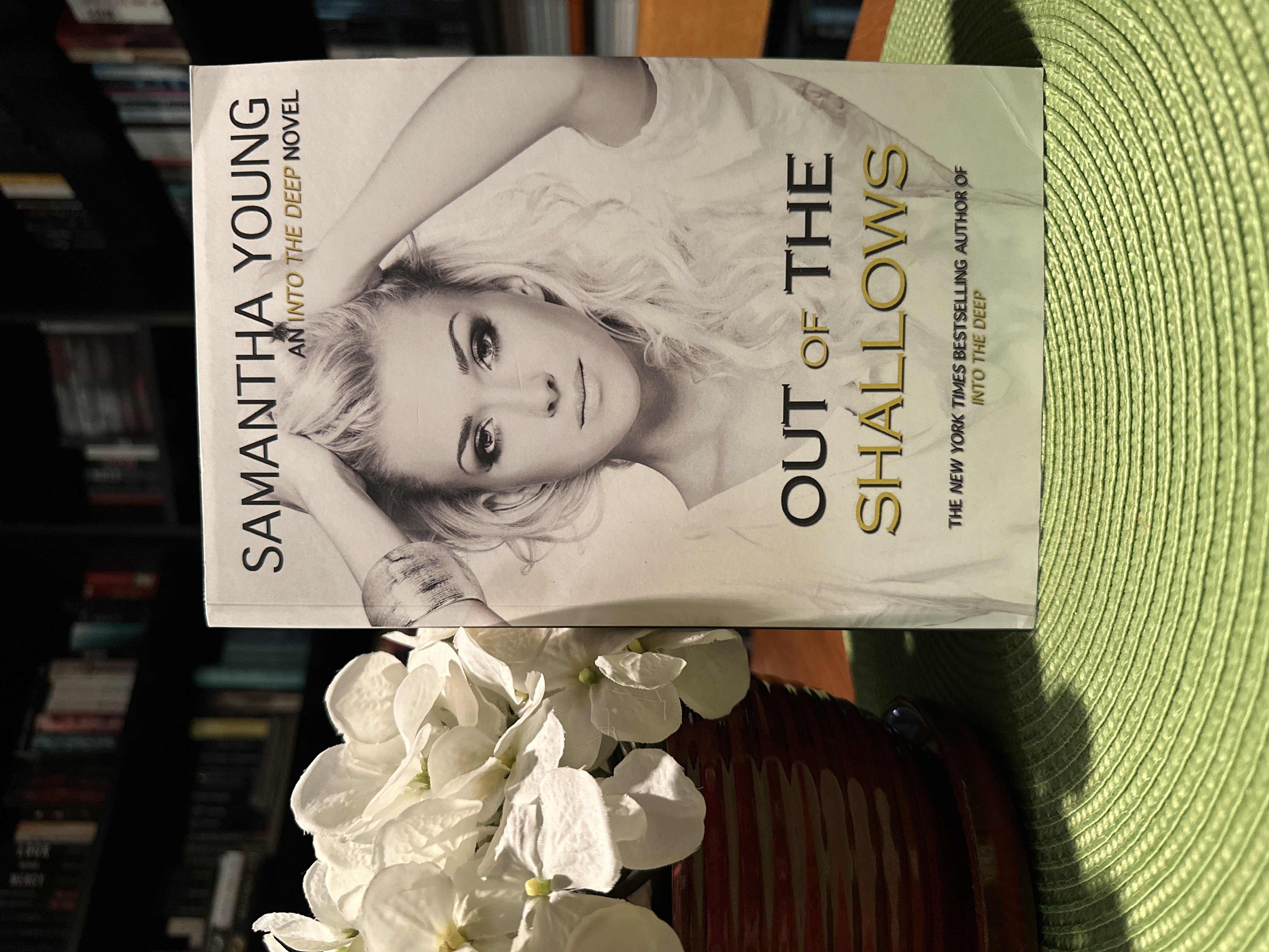 Out of the Shallows (into the Deep #2)