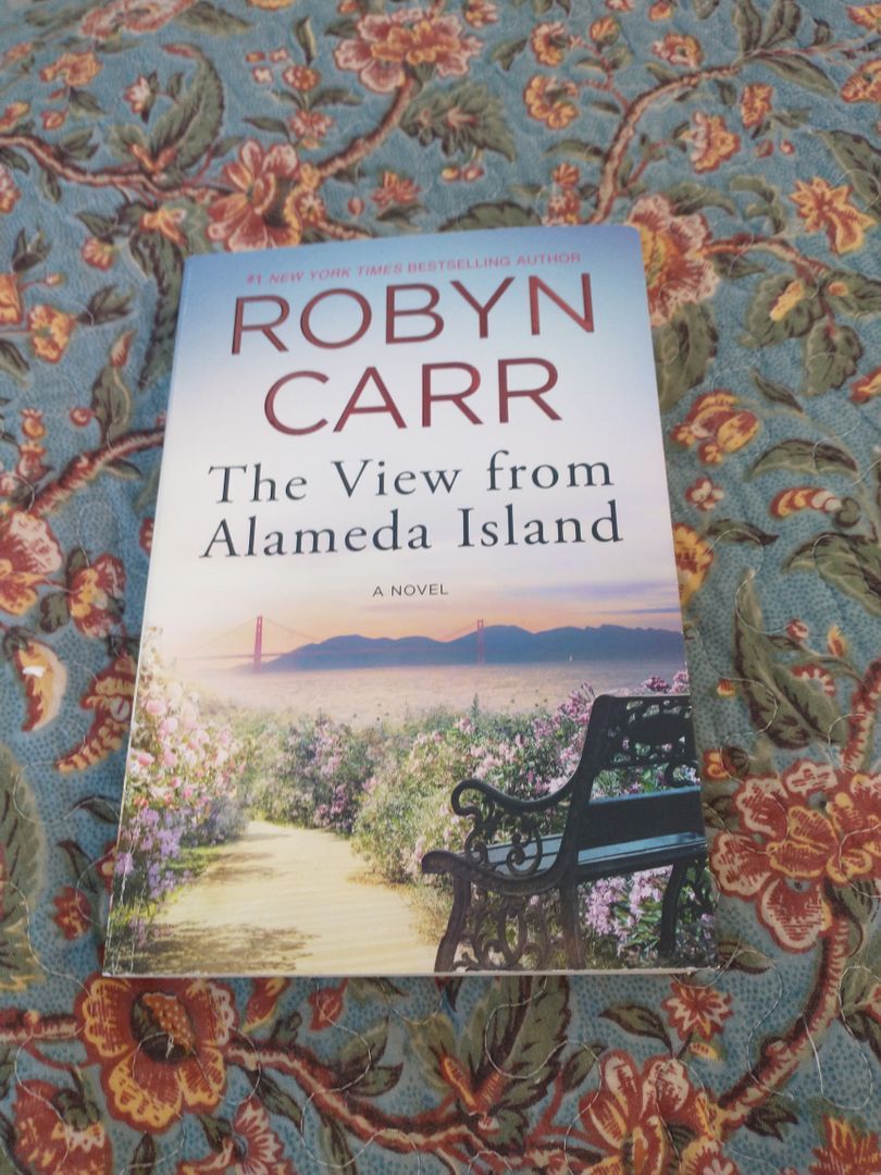 The View from Alameda Island