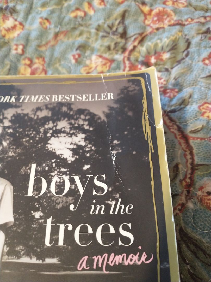 Boys in the Trees