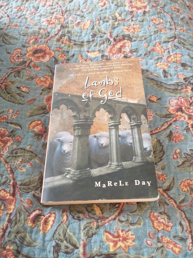 Sale image for 404e8a67-7886-46d9-b259-34254430374b-cczqVP5vCjNnhOPEhZFqUK5MoOh1