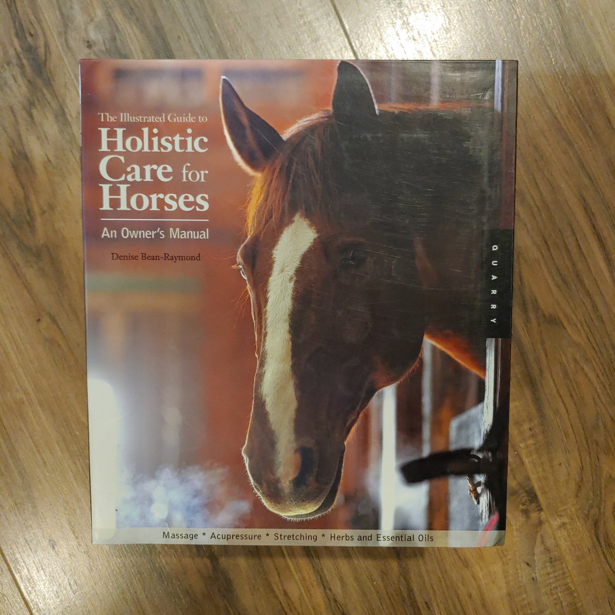 The Illustrated Guide to Holistic Care for Horses by Denise Bean-Raymond