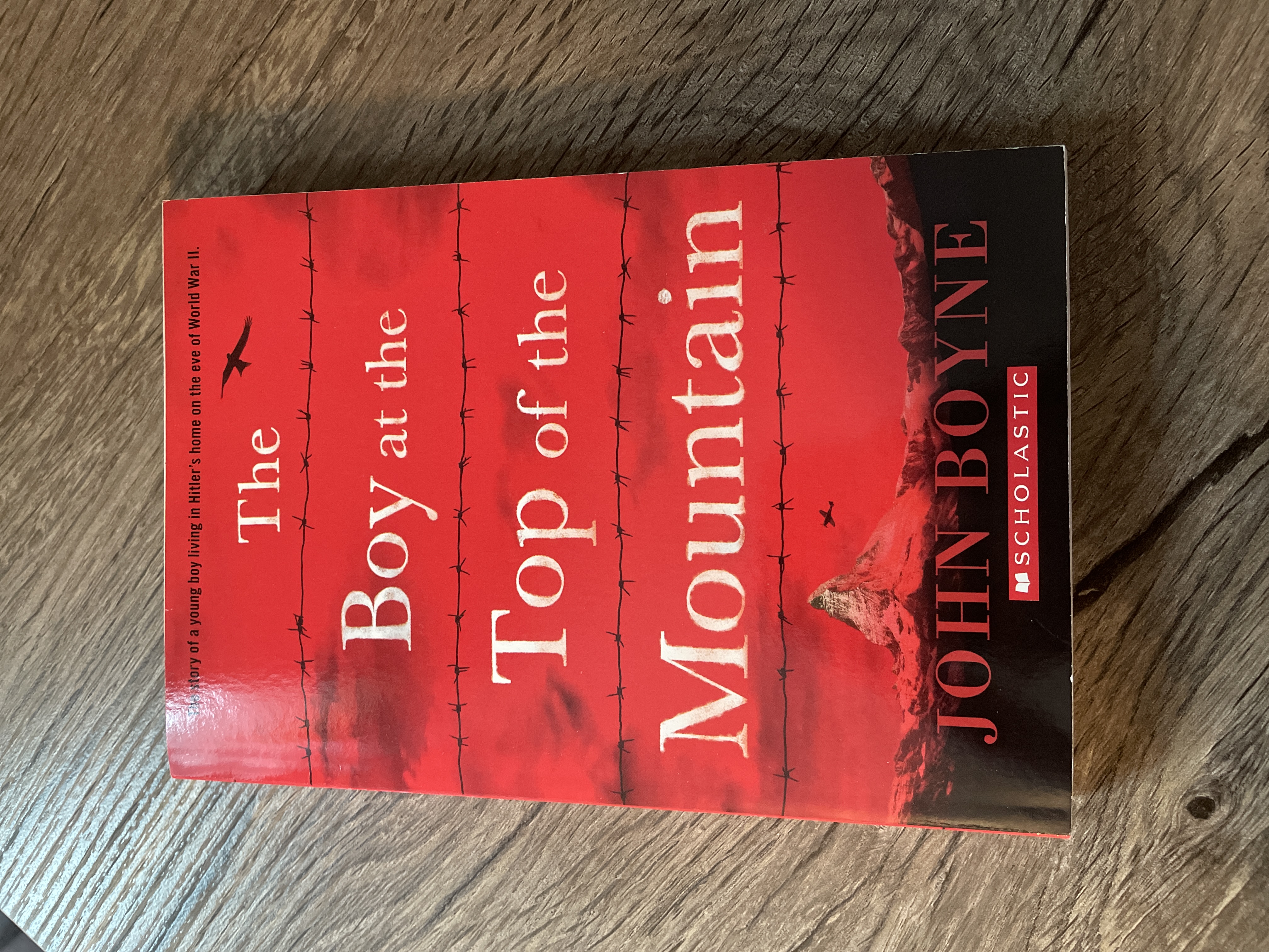 The Boy at the Top of the Mountain