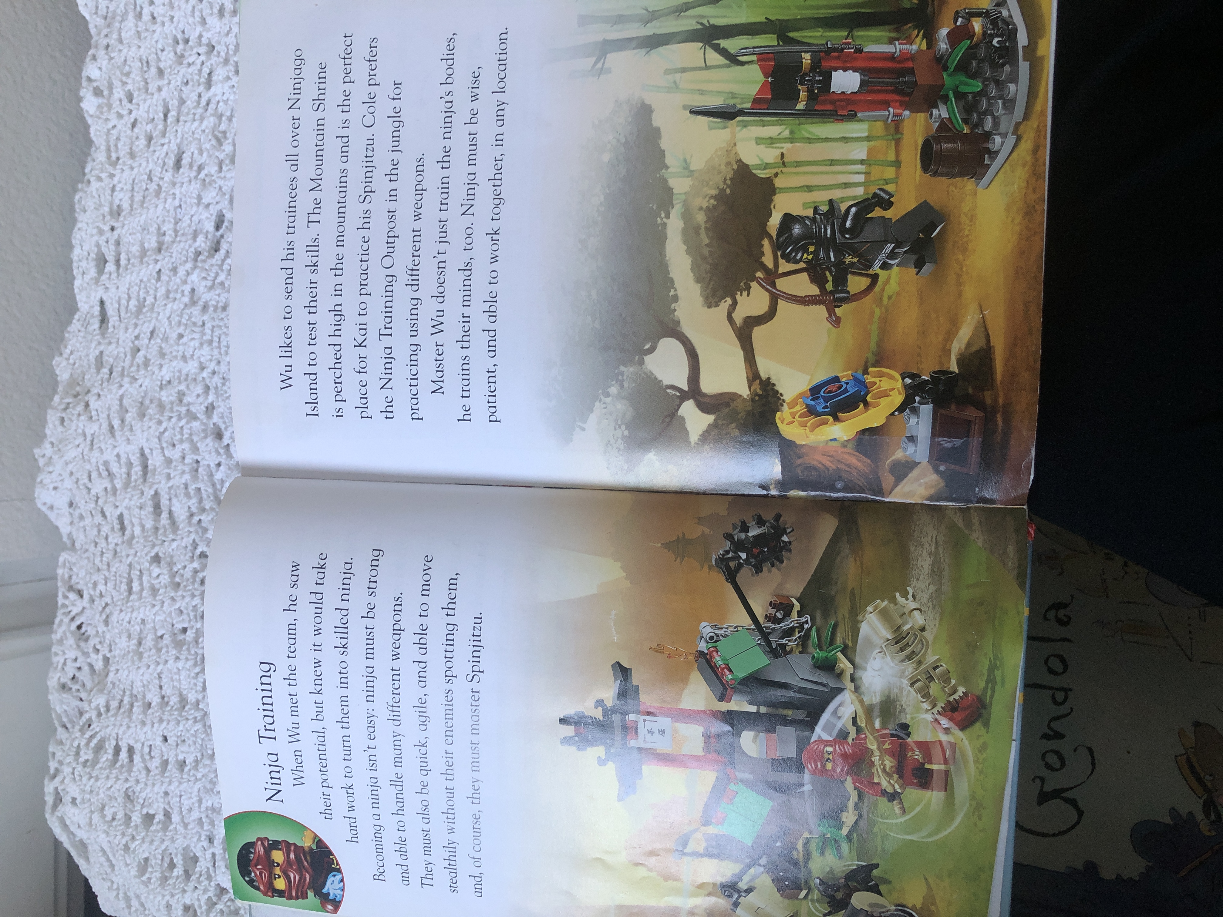 DK Readers L4: LEGO NINJAGO: Team Ninja