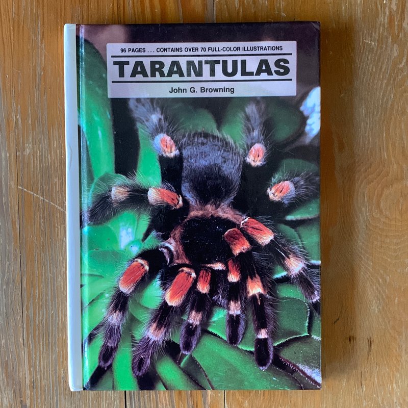 Tarantulas