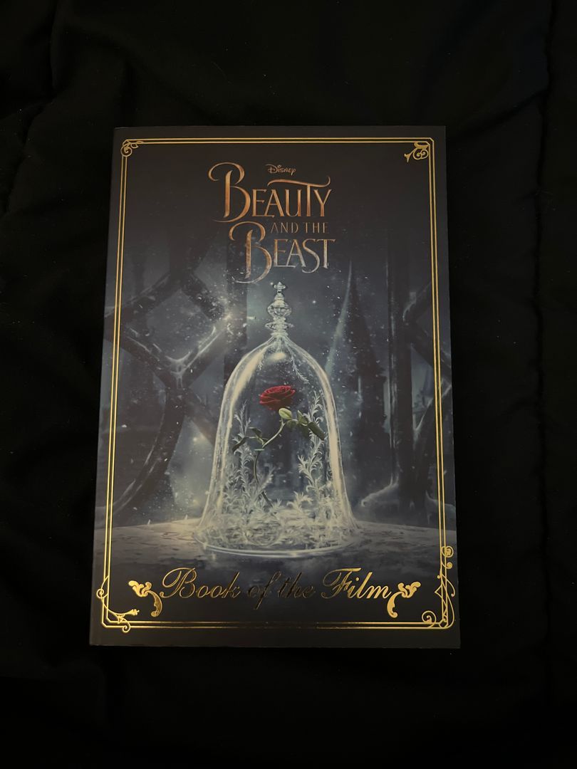 Beauty and the beast 