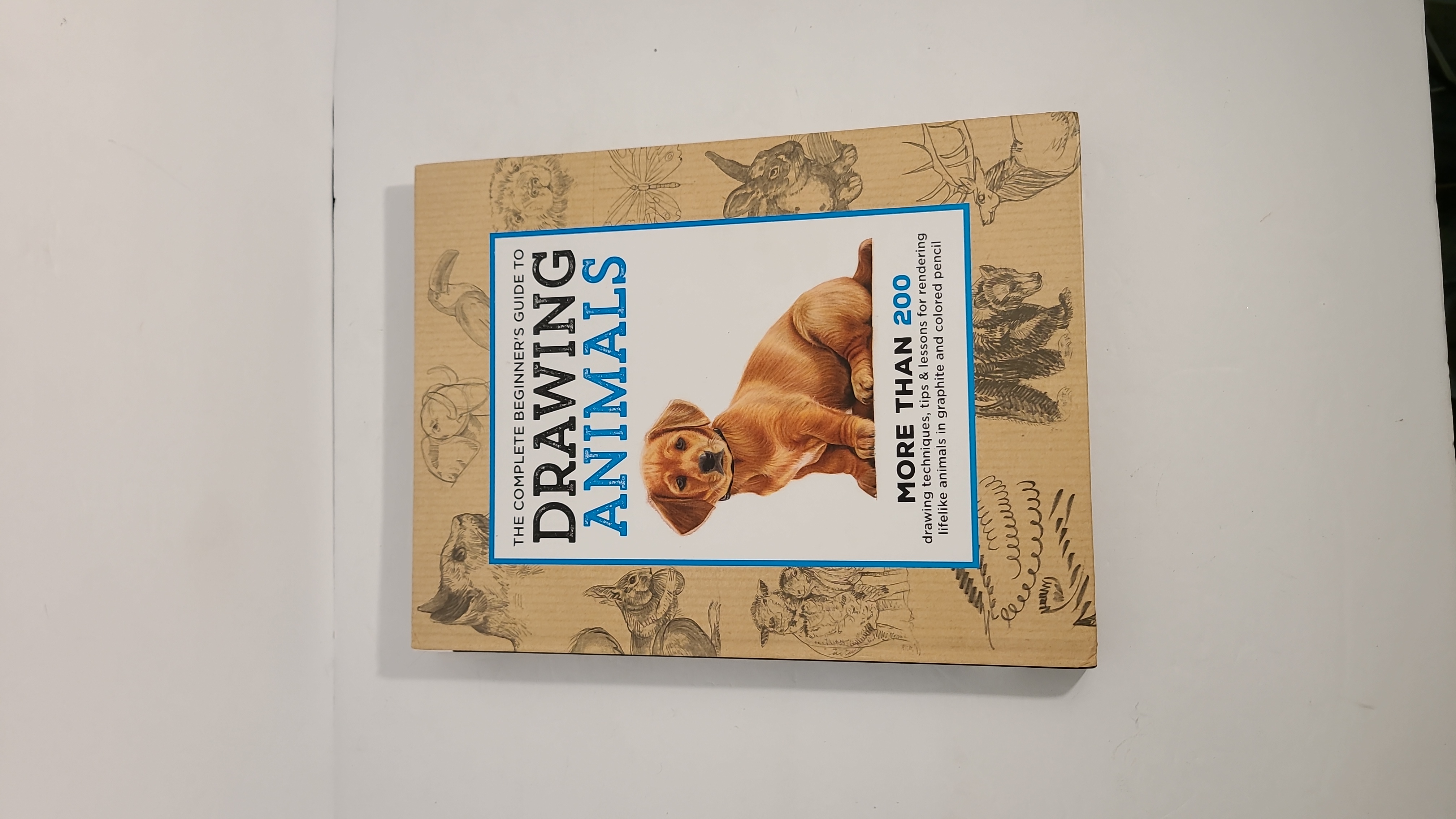 The Complete Beginner's Guide to Drawing Animals