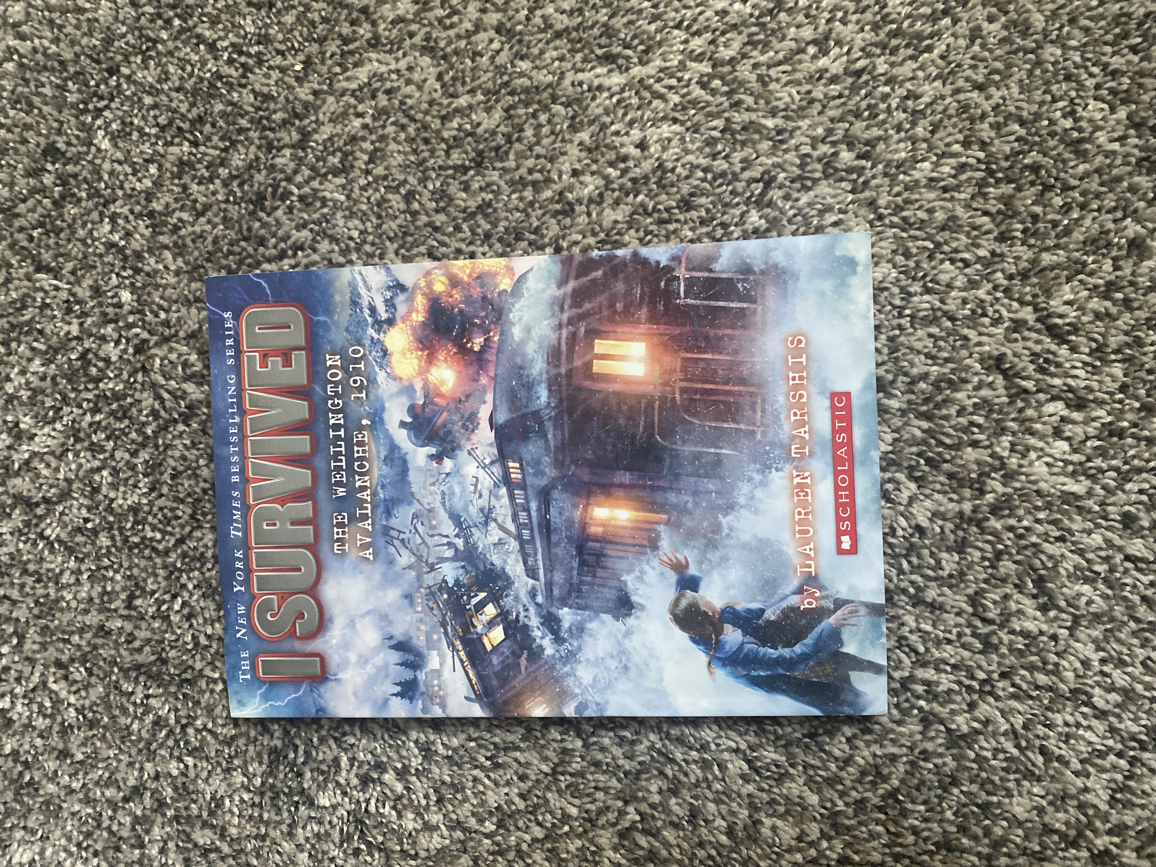 I Survived the Wellington Avalanche, 1910 (I Survived #22)