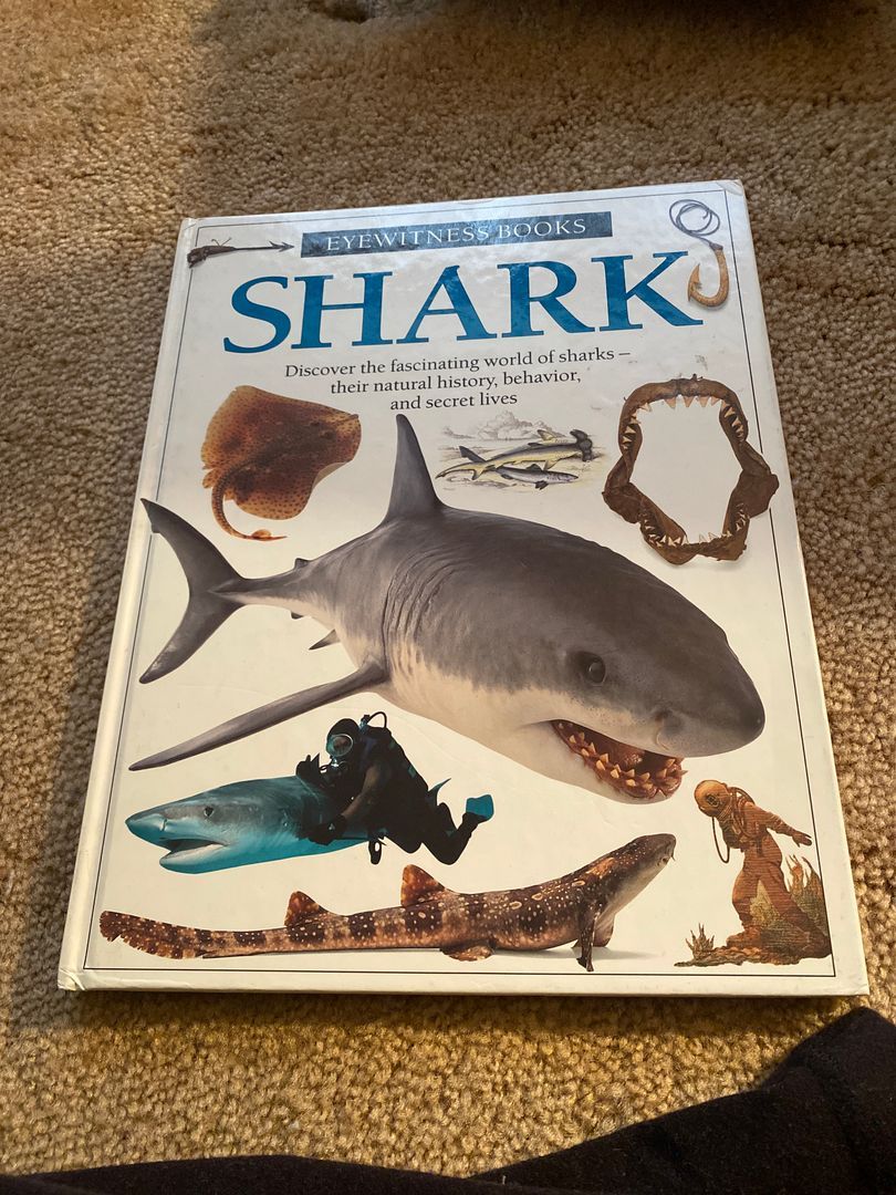 Shark