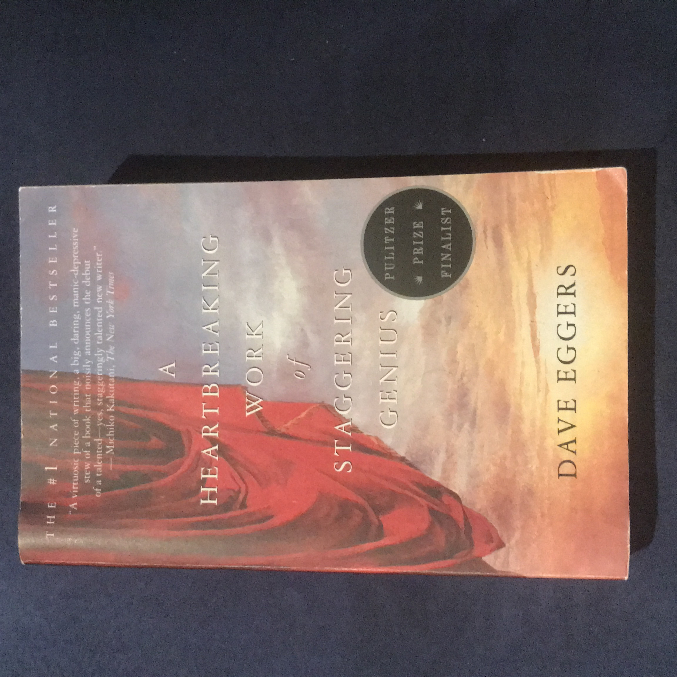 A Heartbreaking Work of Staggering Genius