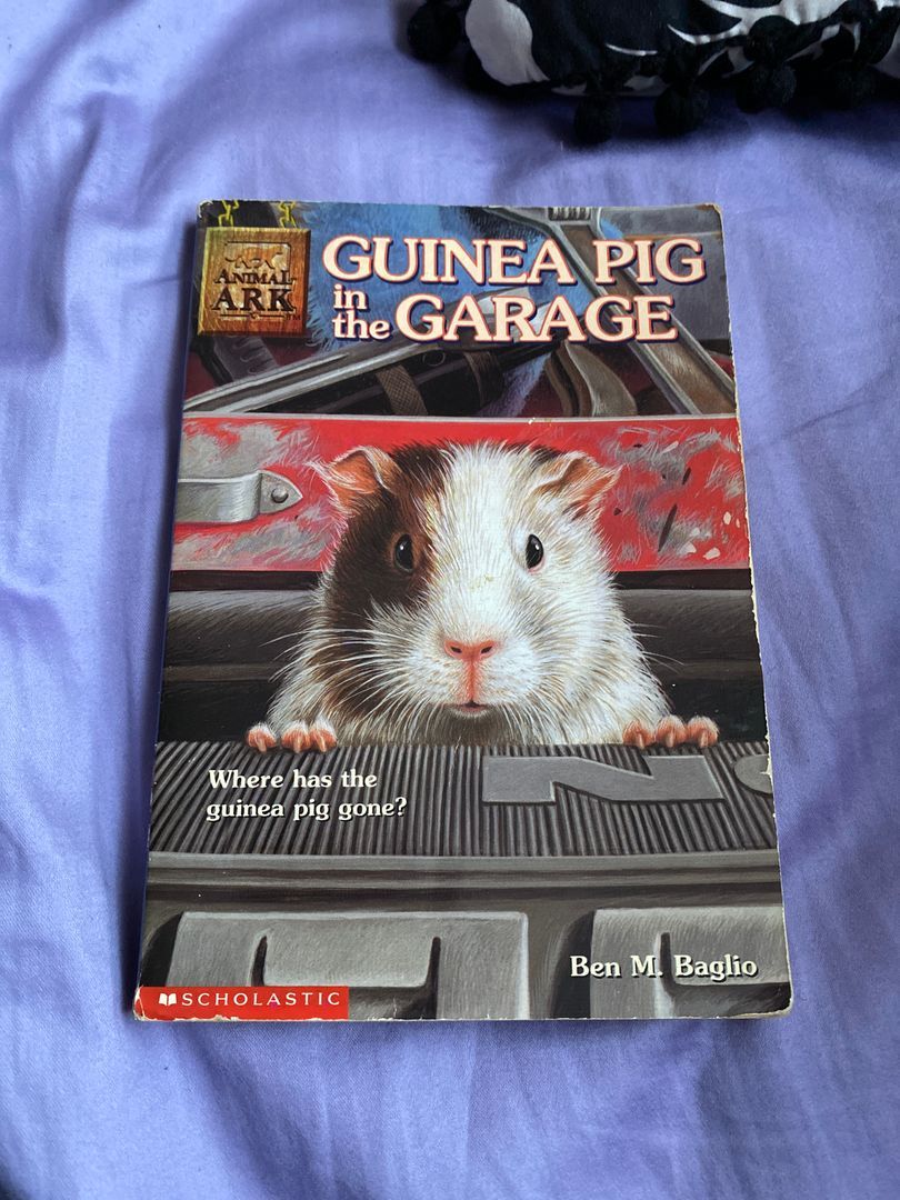 Guinea Pig in the Garage