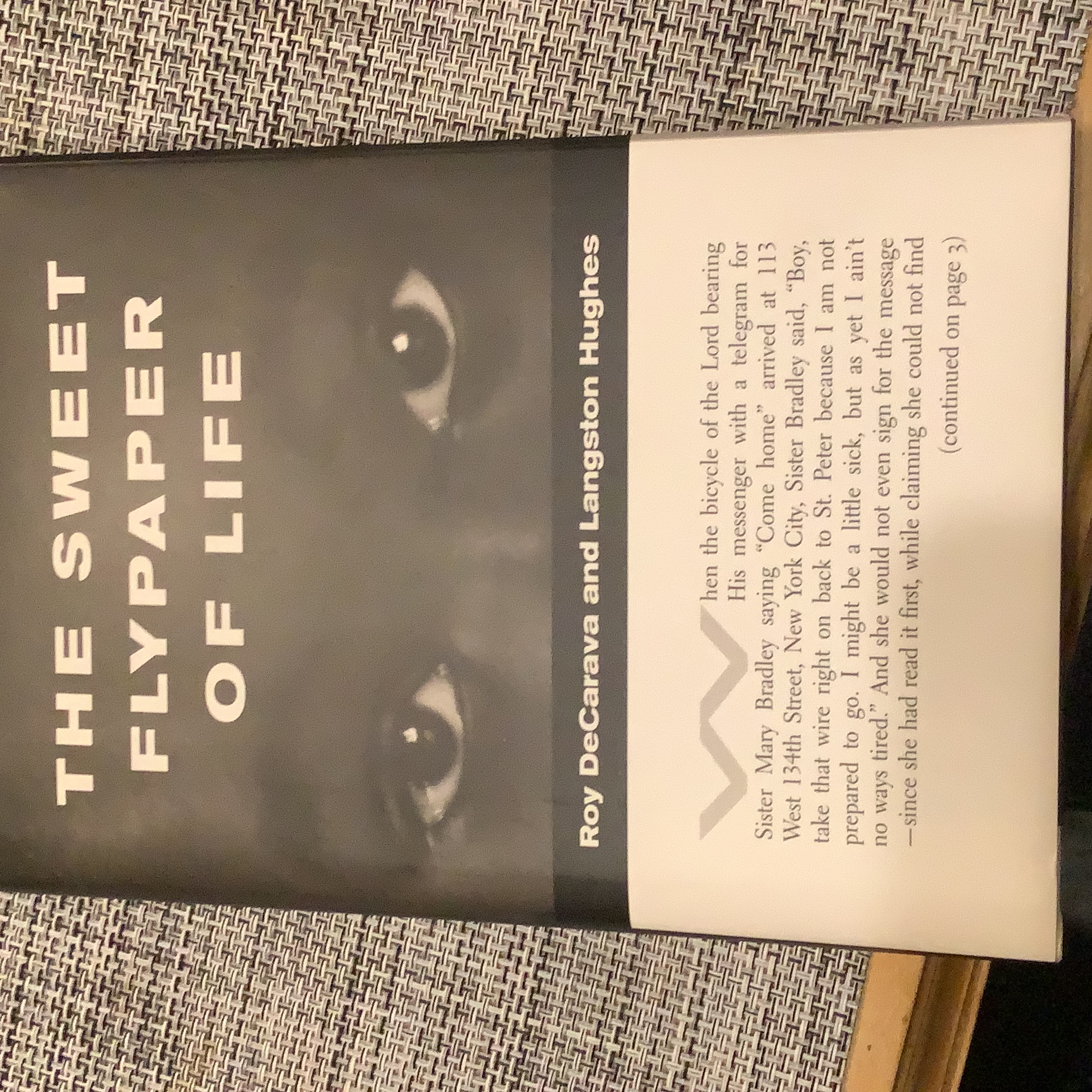 The Sweet Flypaper of Life (hardcover)