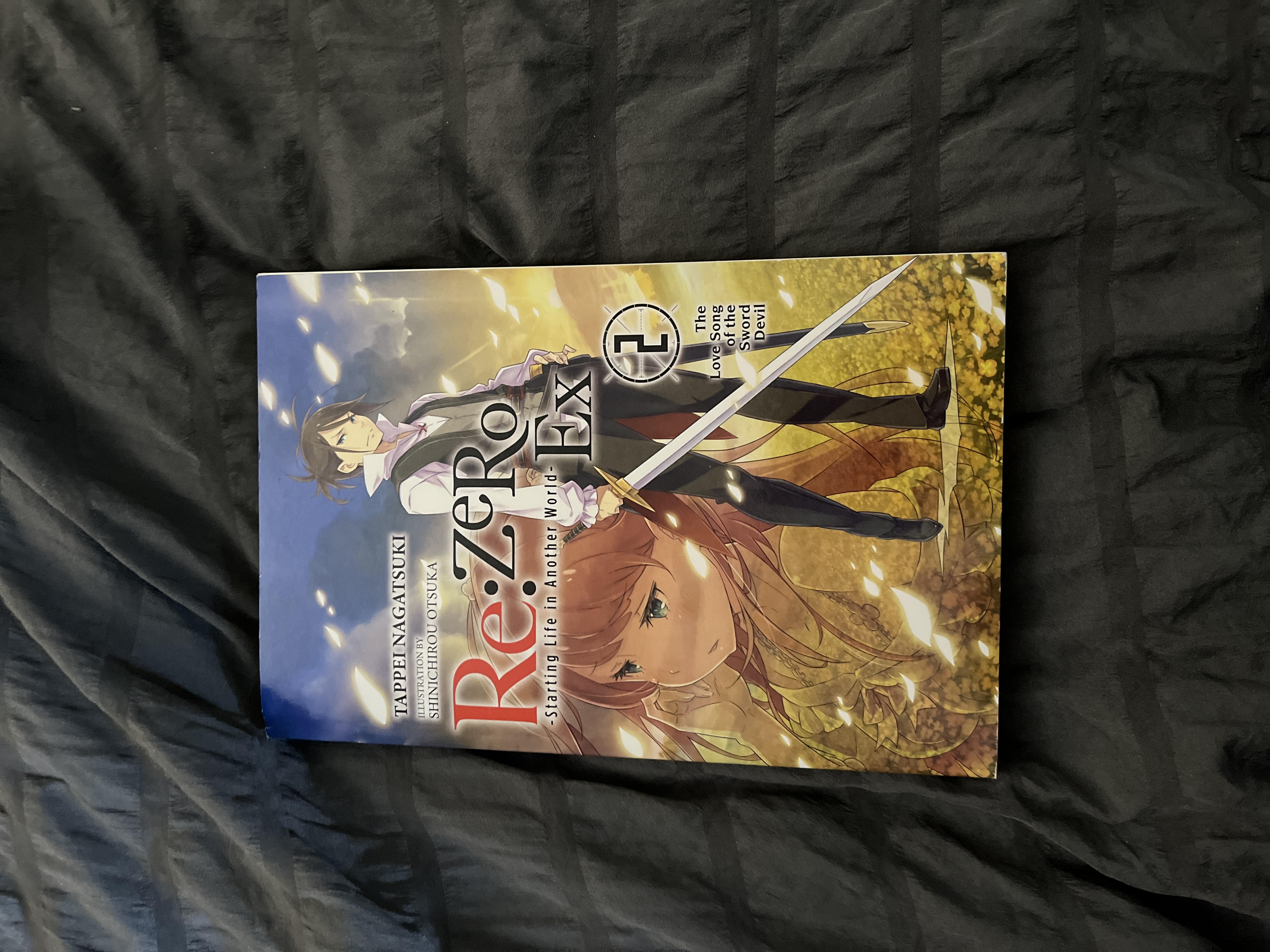 Re:ZERO -Starting Life in Another World- Ex, Vol. 2 (light Novel)