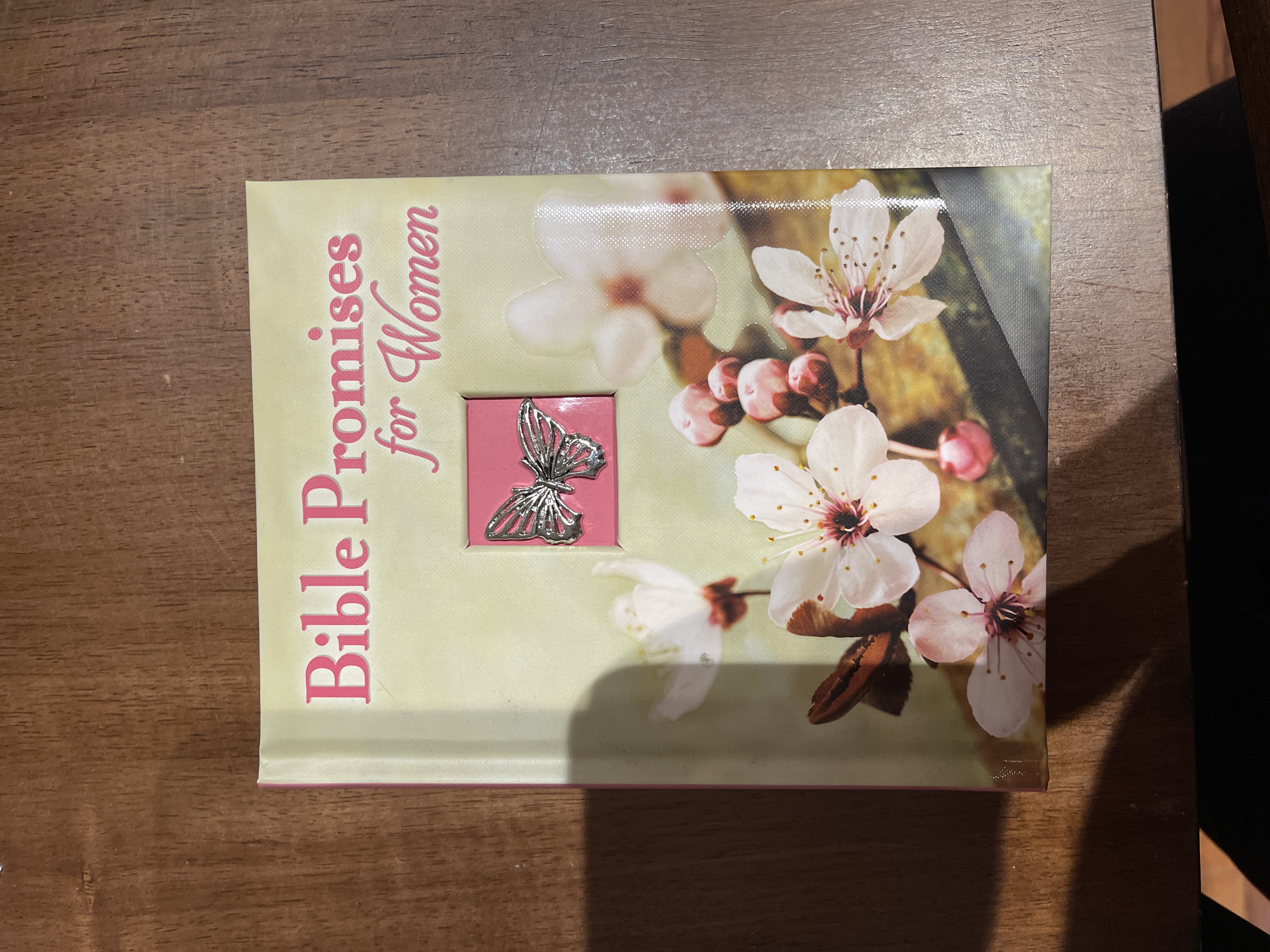 Bible Promises for Women