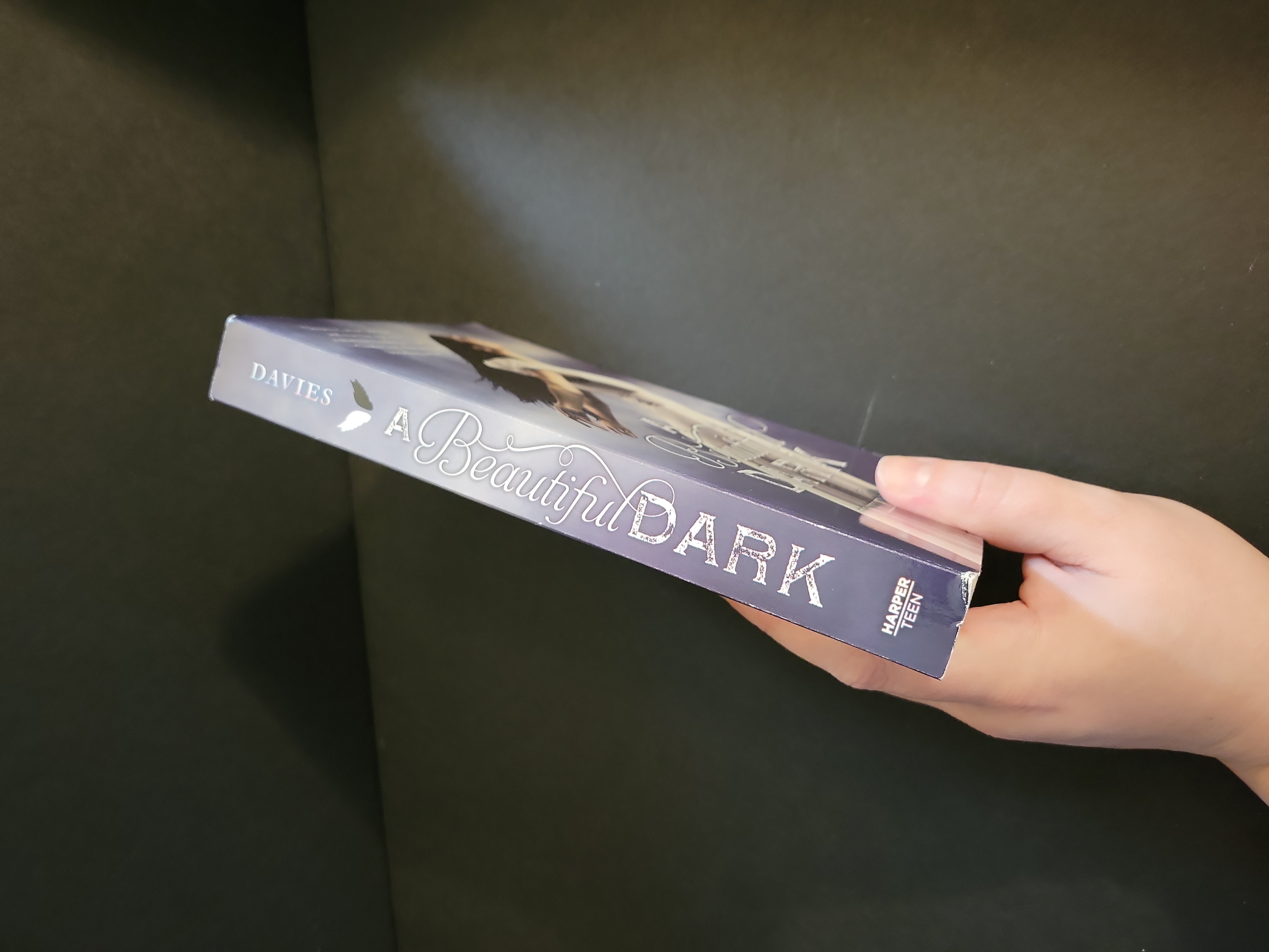 A Beautiful Dark