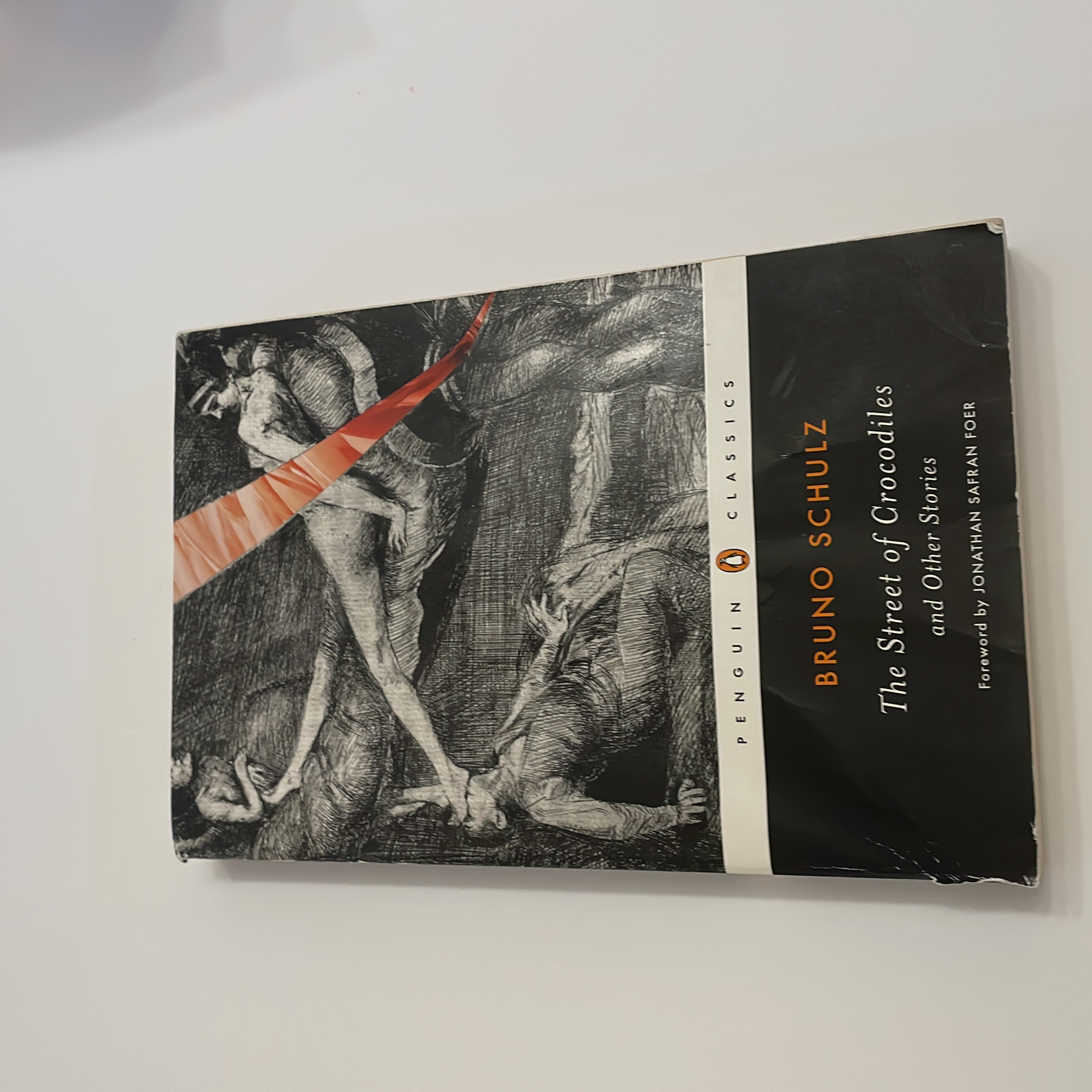 The Street of Crocodiles and Other Stories
