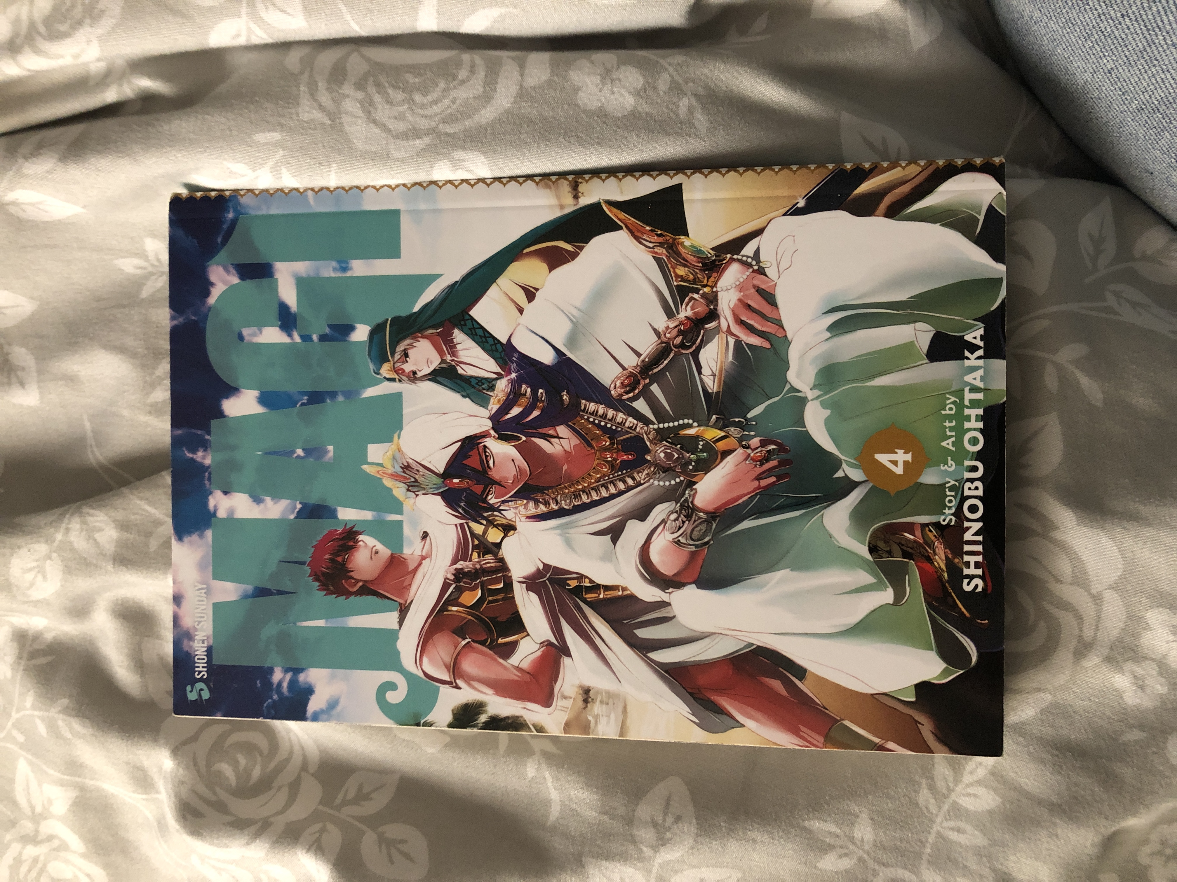 Magi: the Labyrinth of Magic, Vol. 4