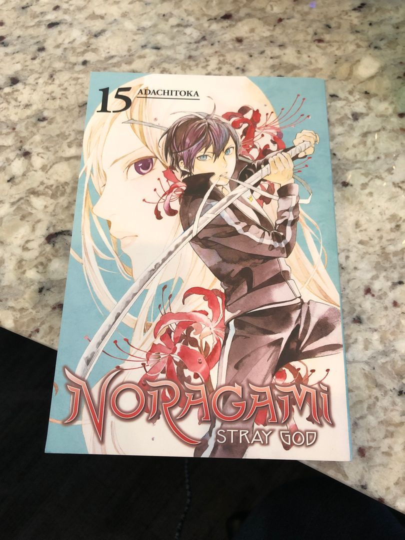 Noragami: Stray God 15