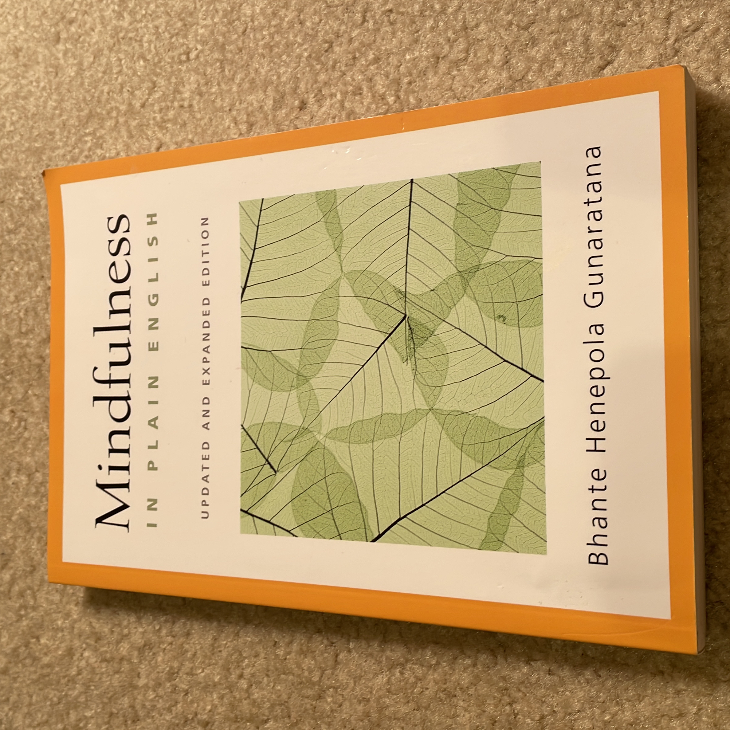 Mindfulness in Plain English
