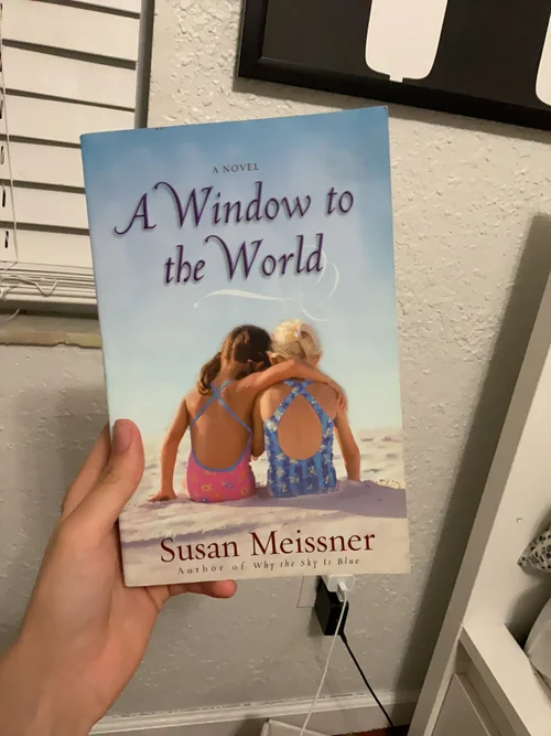 A Window to the World