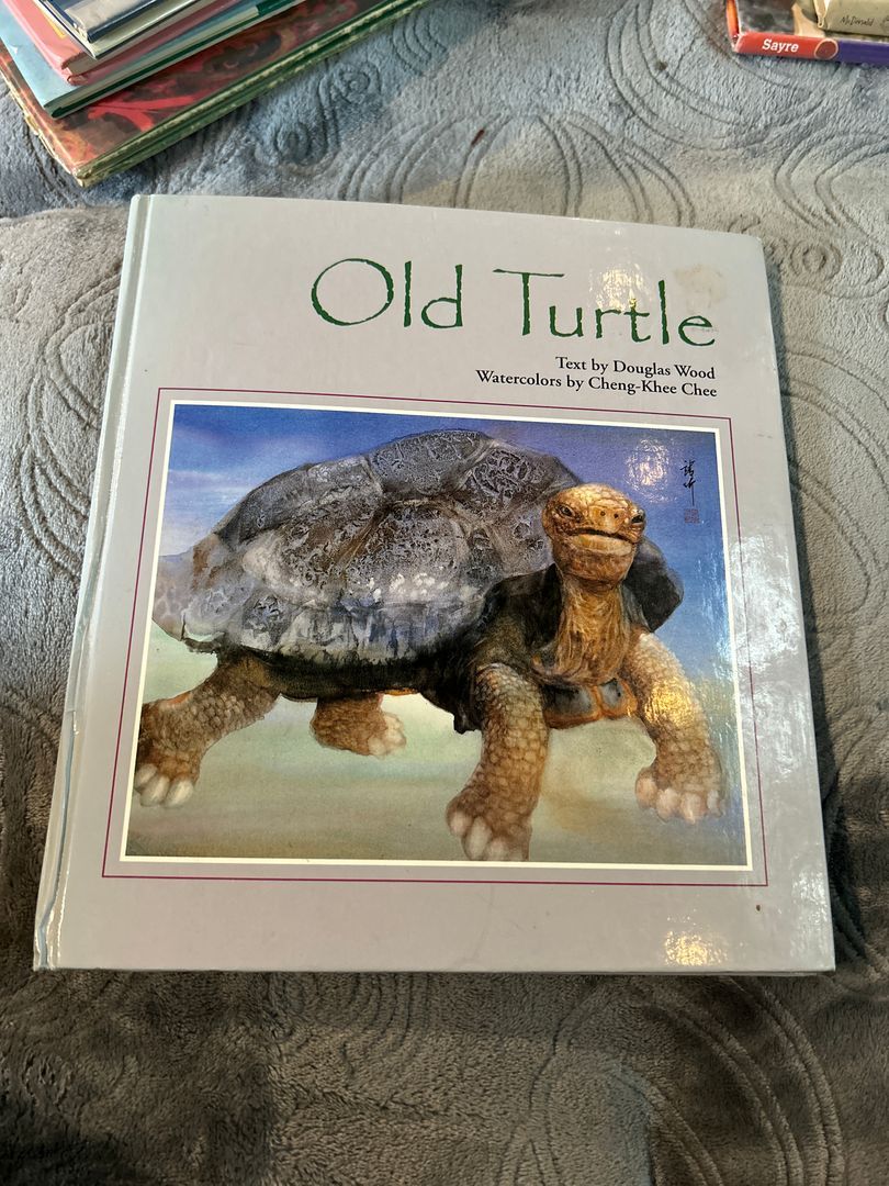 Old Turtle 