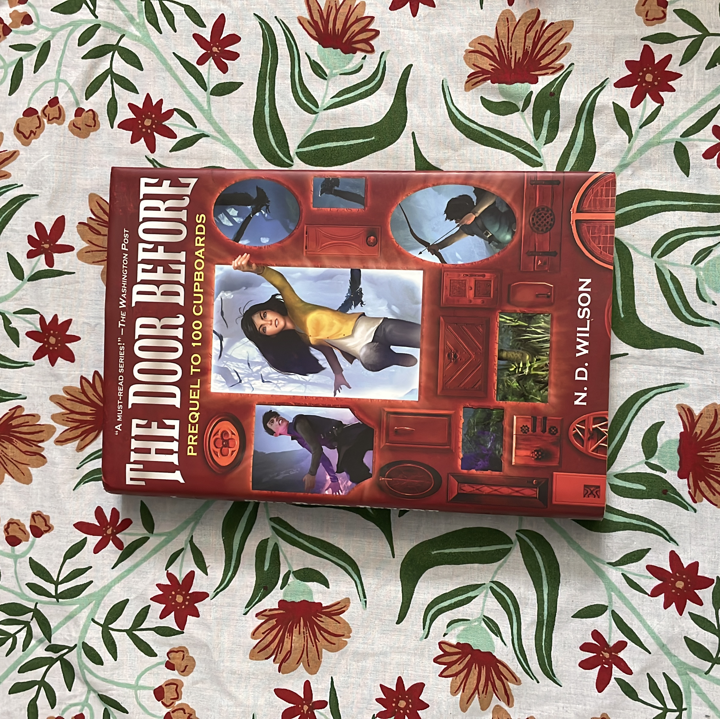 The Door Before (100 Cupboards Prequel)