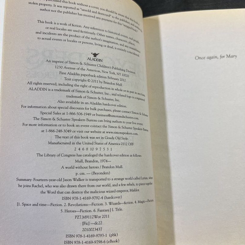 A World Without Heroes