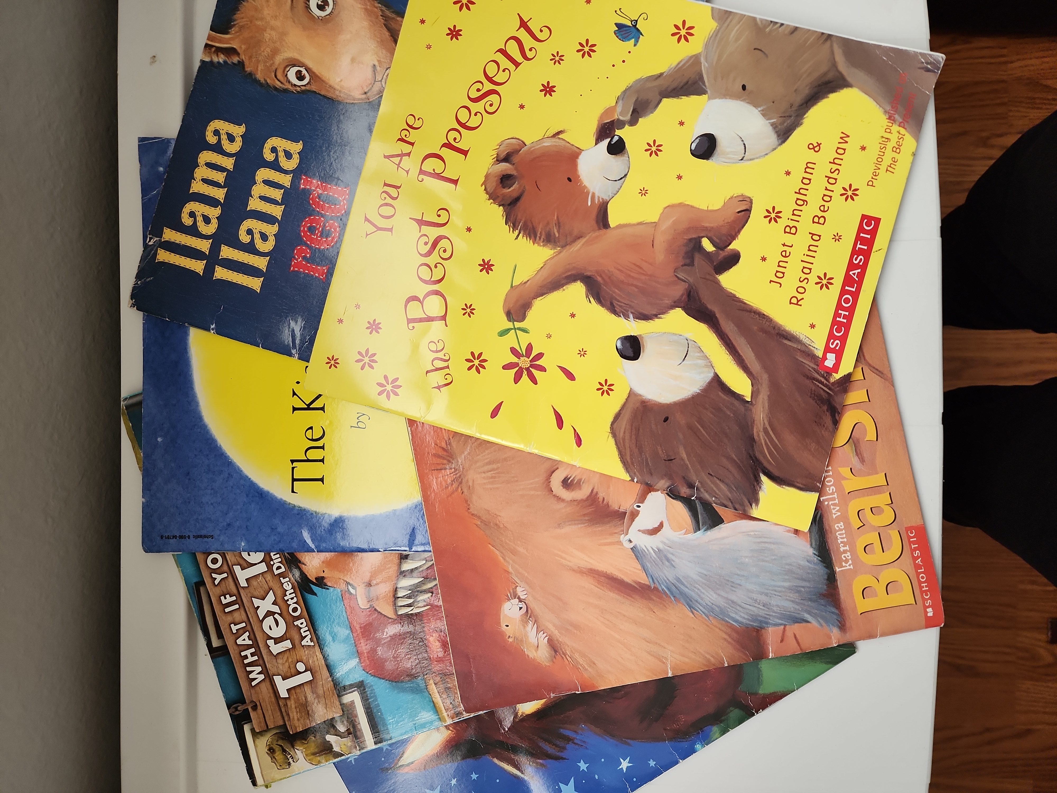 Scholastic Book Bundle