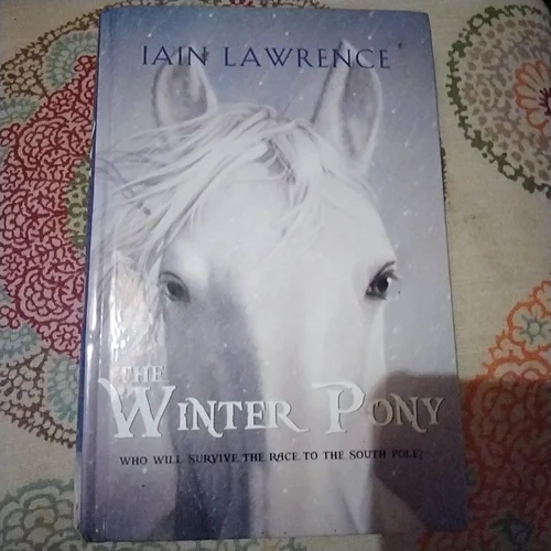 The Winter Pony