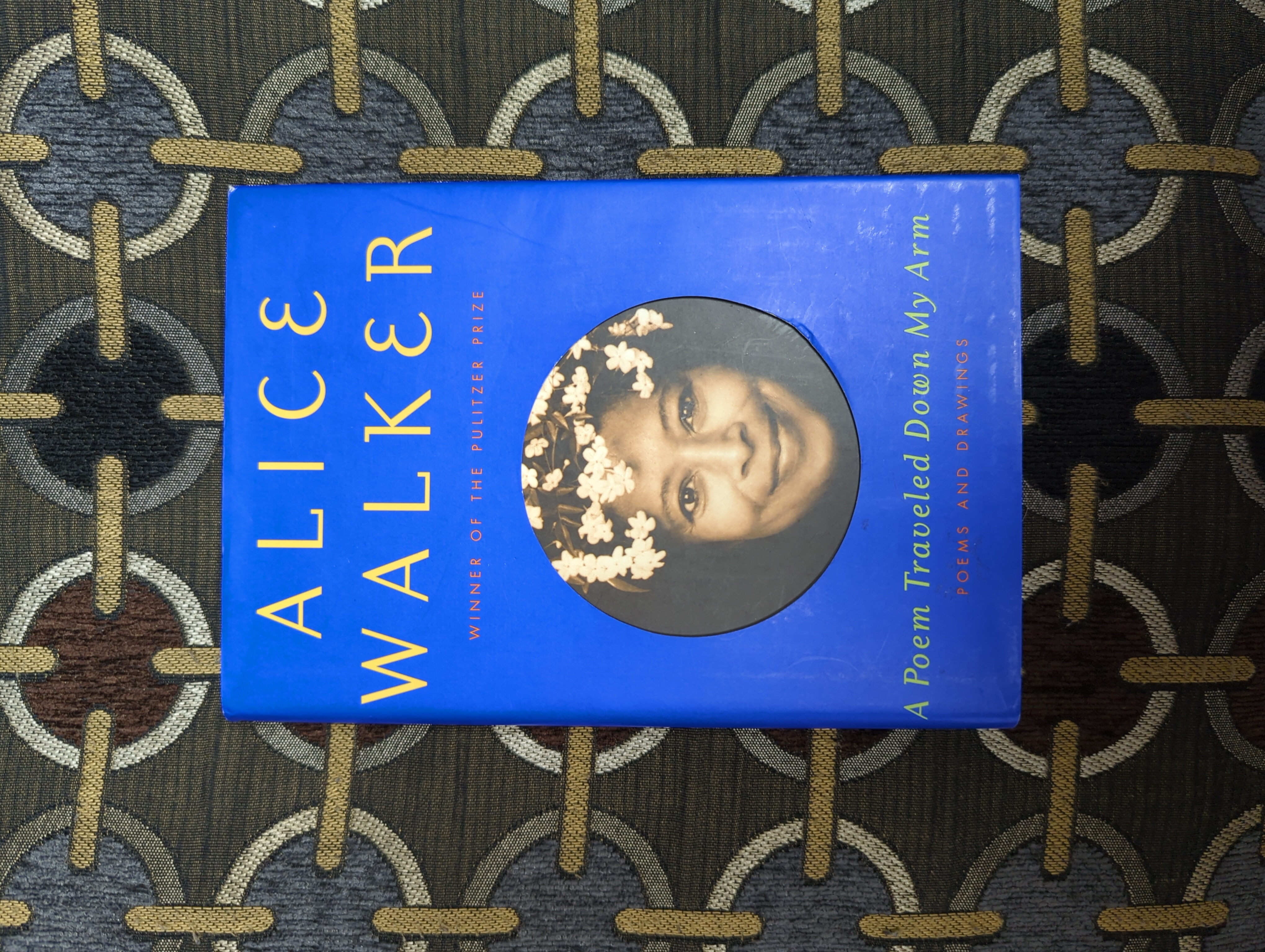 A Poem Traveled Down My Arm