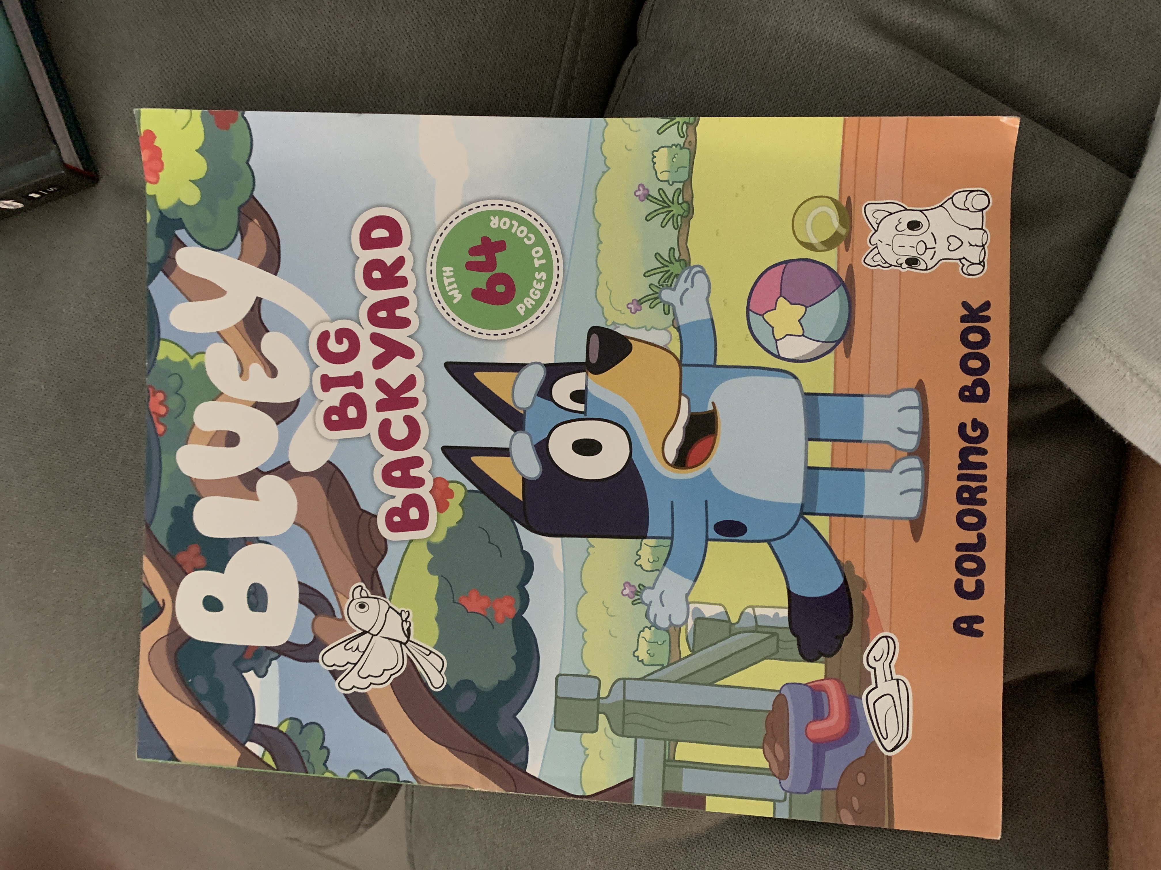 Bluey: Big Backyard: a Coloring Book