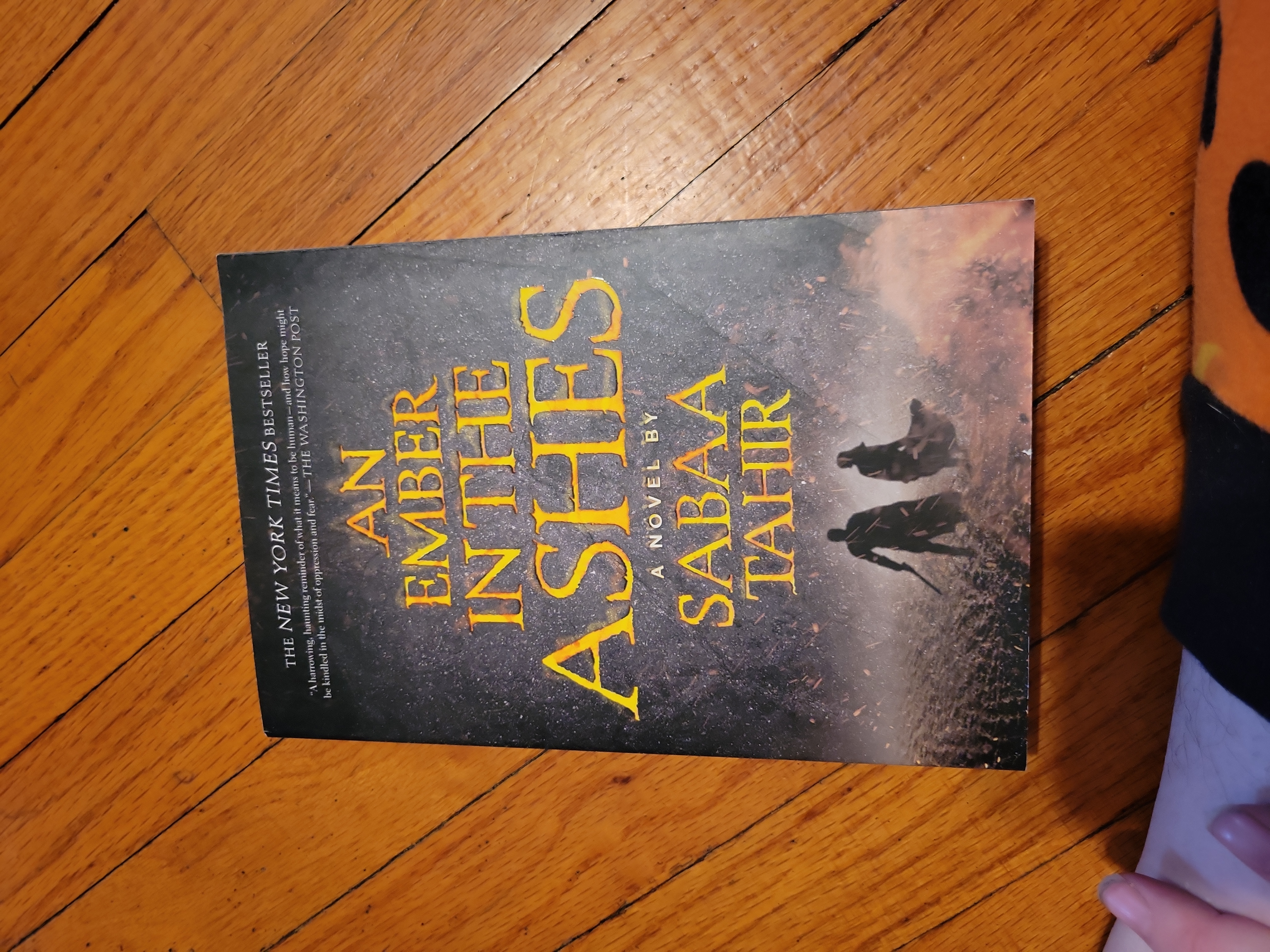 An Ember in the Ashes
