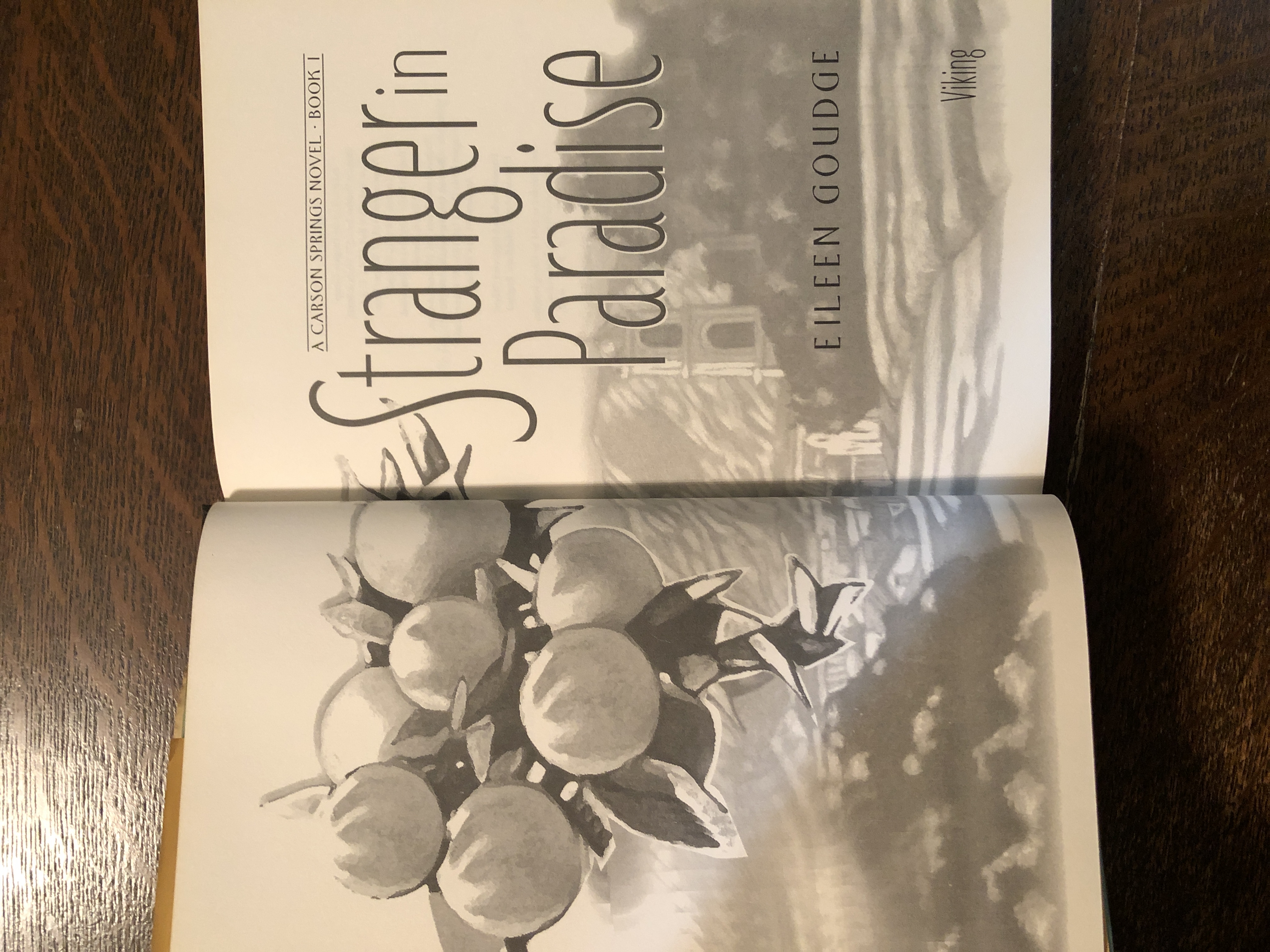 Stranger in Paradise